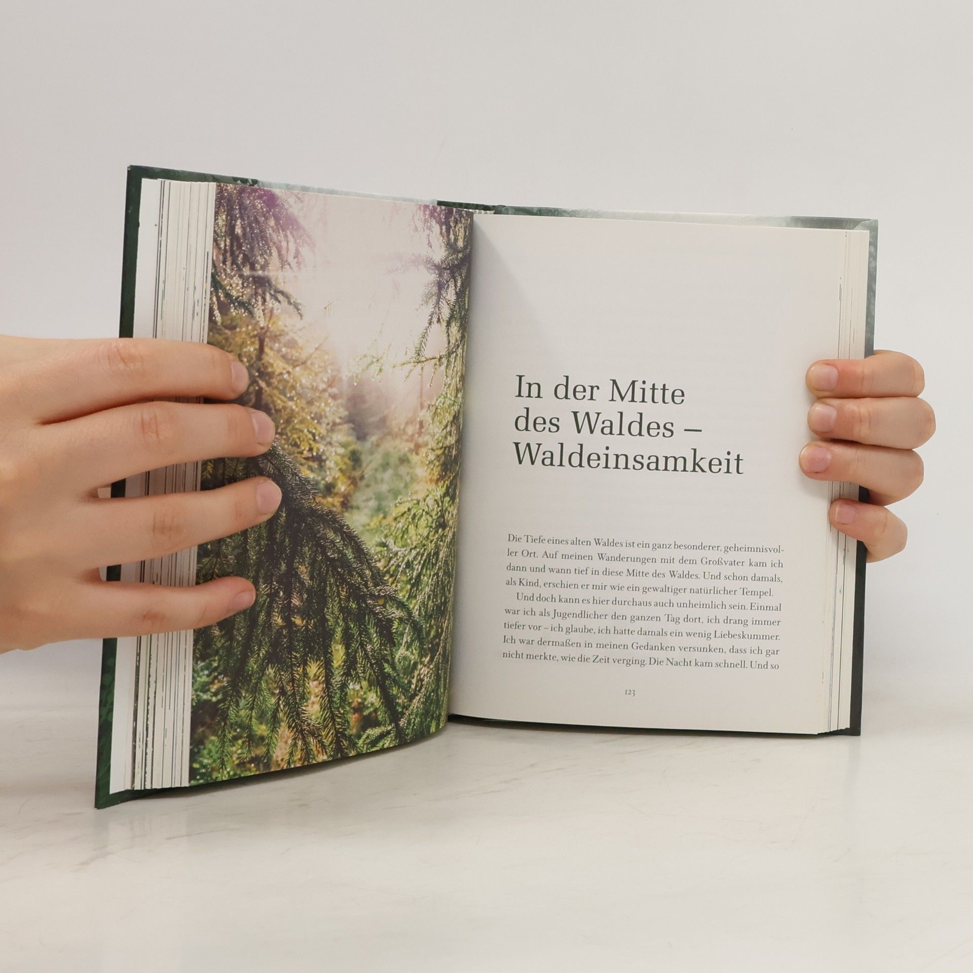 Valentin Kirschgruber Die Magie des Waldes