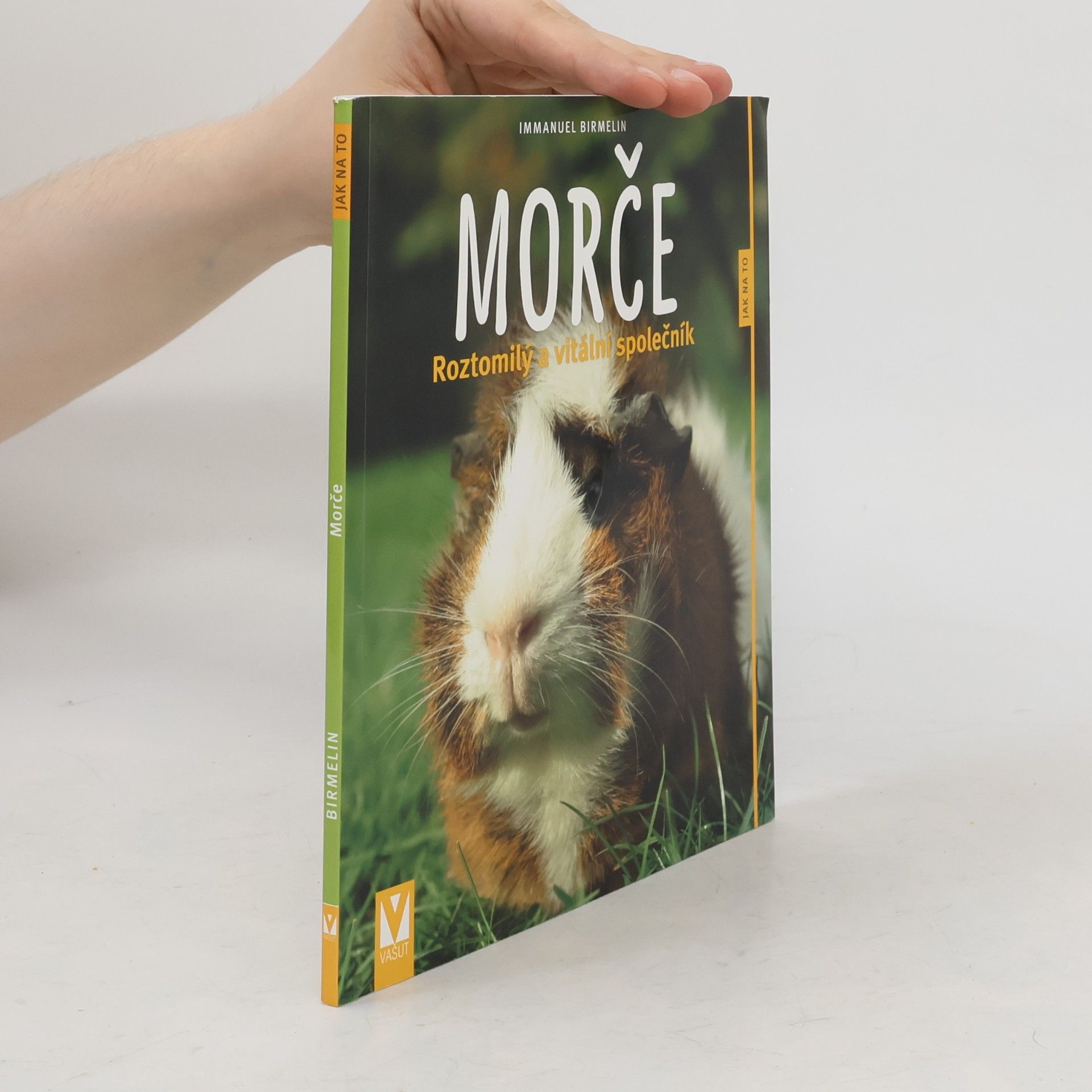 Immanuel Birmelin Morče. Roztomilý a vitální společník