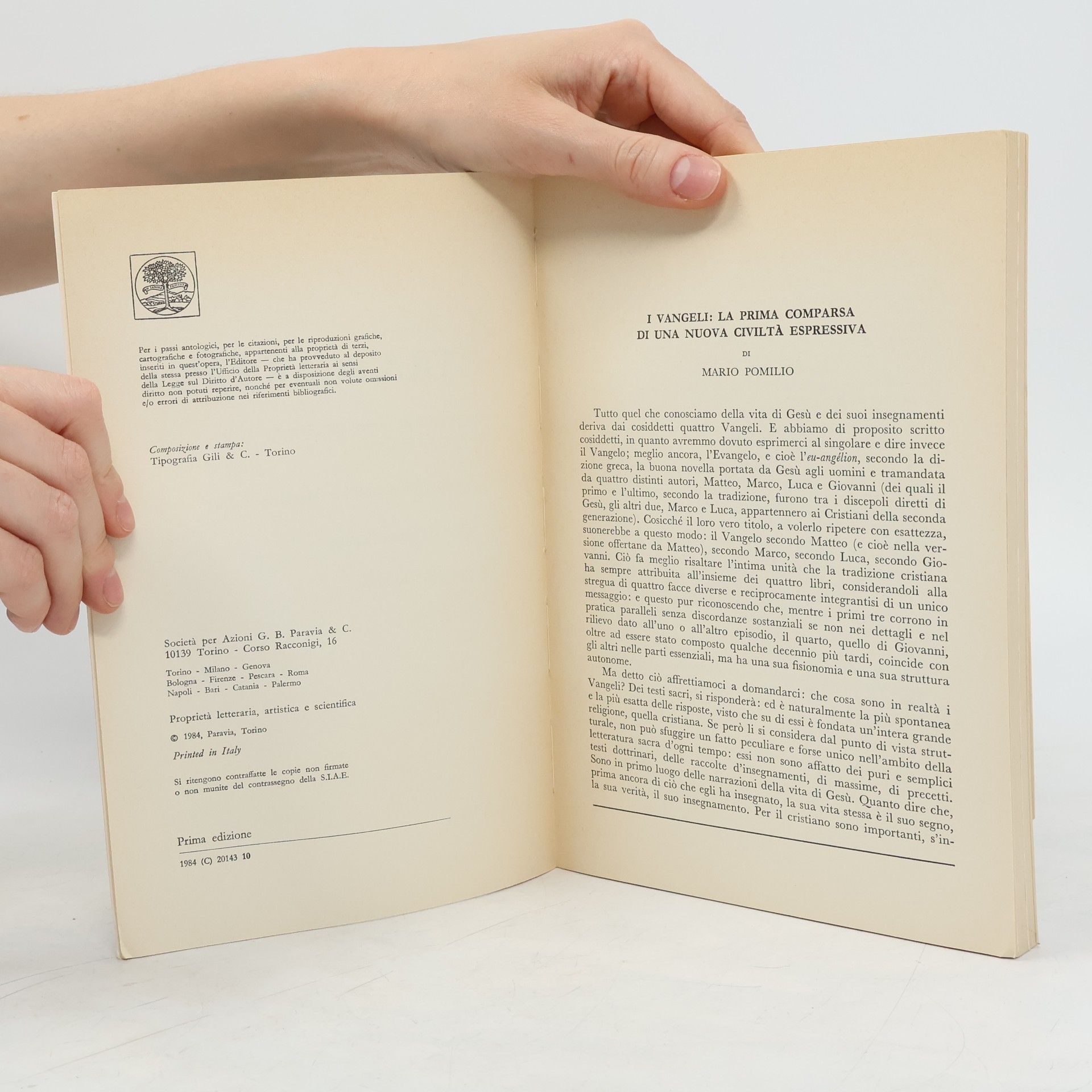 Autorenkollektiv La pietra scartata