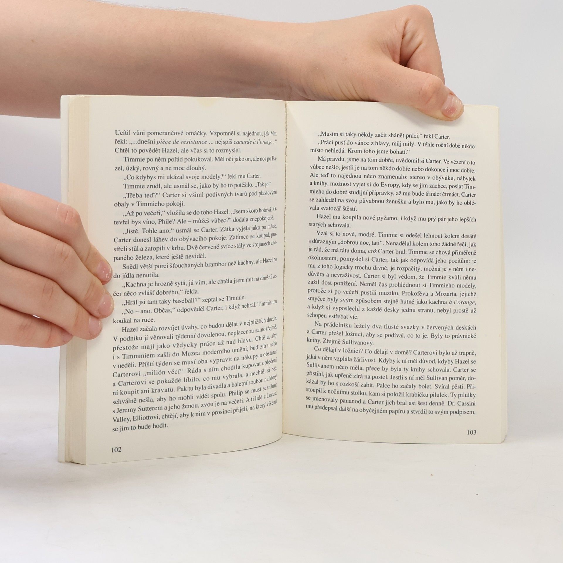 Patricia Highsmith Skleněná cela