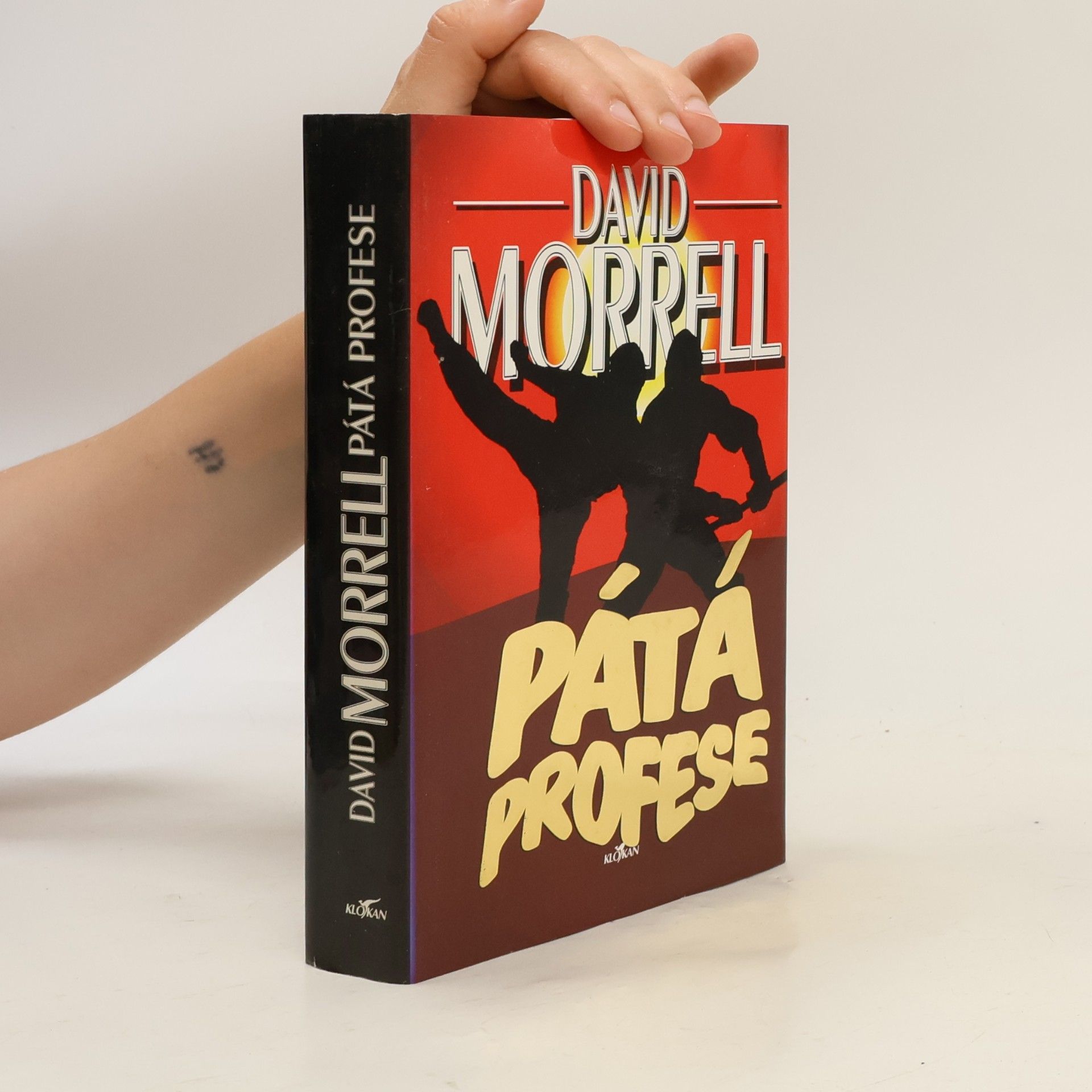 Pátá profese