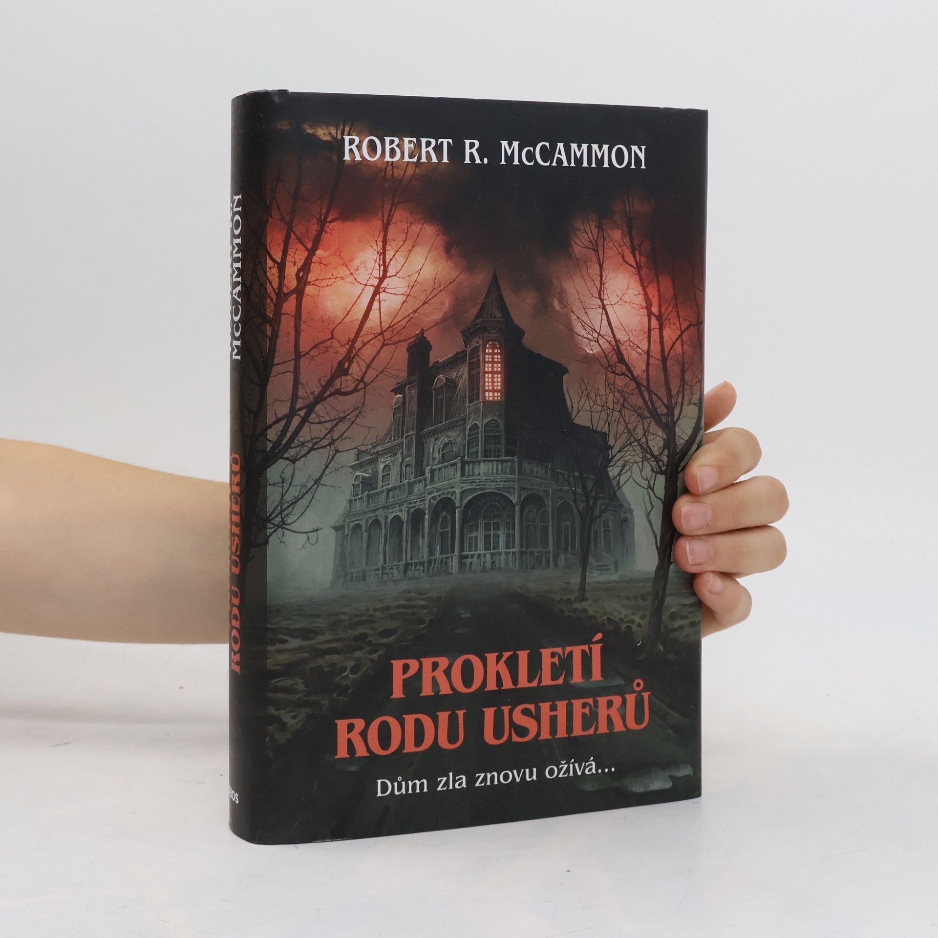 Robert McCammon Prokletí rodu Usherů