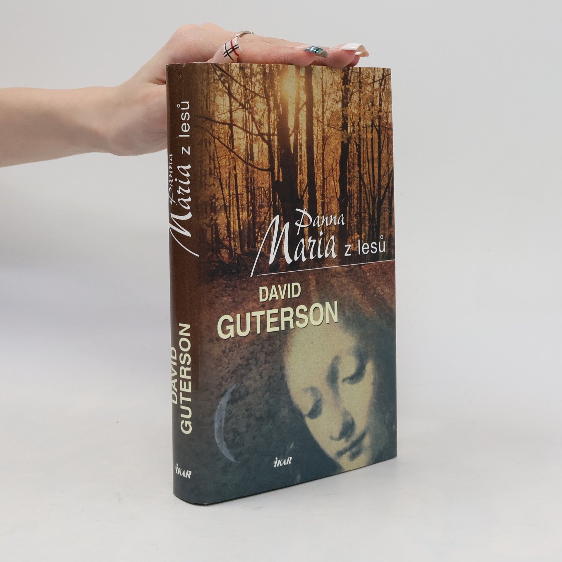 David Guterson Panna Maria z lesů
