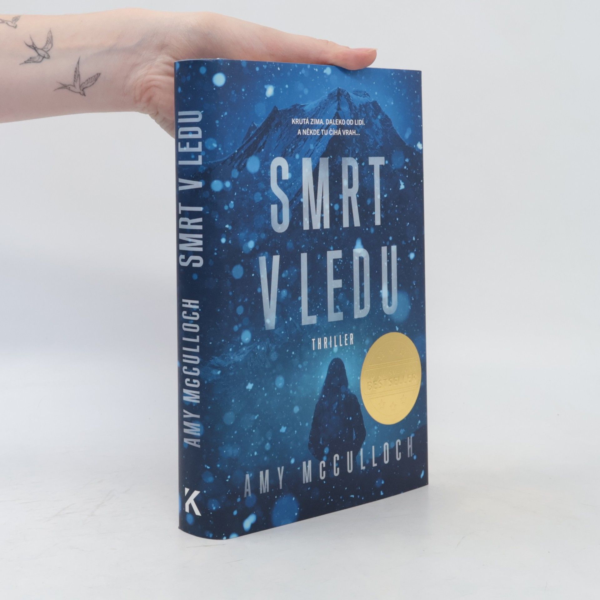 Amy McCulloch Smrt v ledu