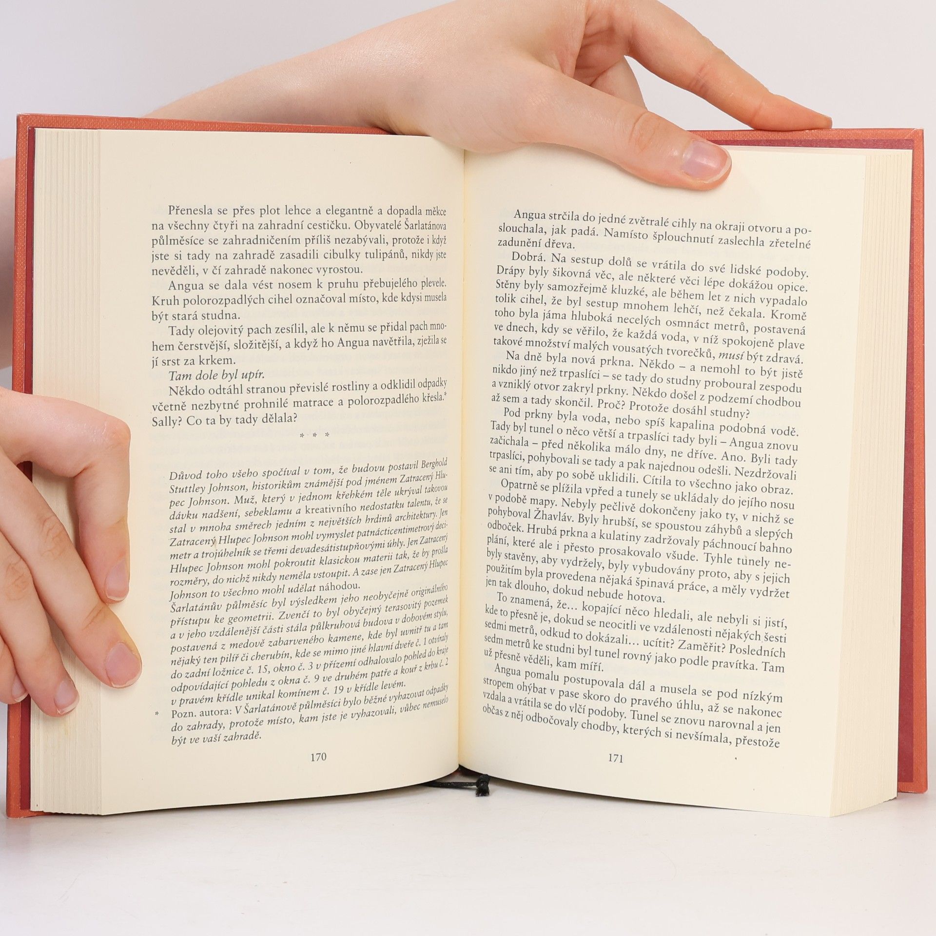 Terry Pratchett Buch!
