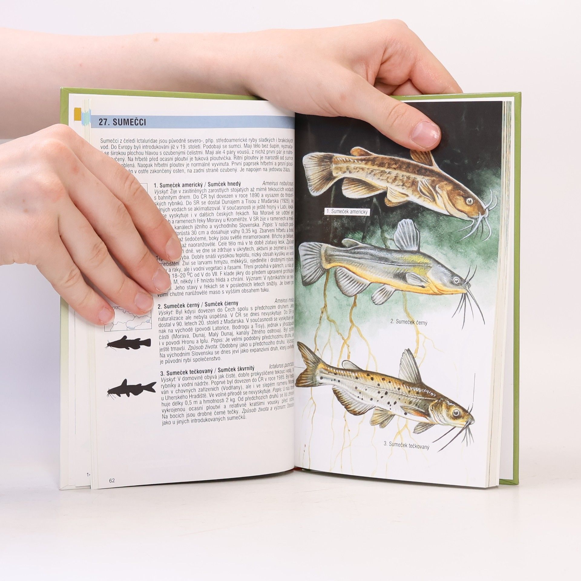 Jan Dungel Atlas ryb, obojživelníků a plazů České a Slovenské republiky