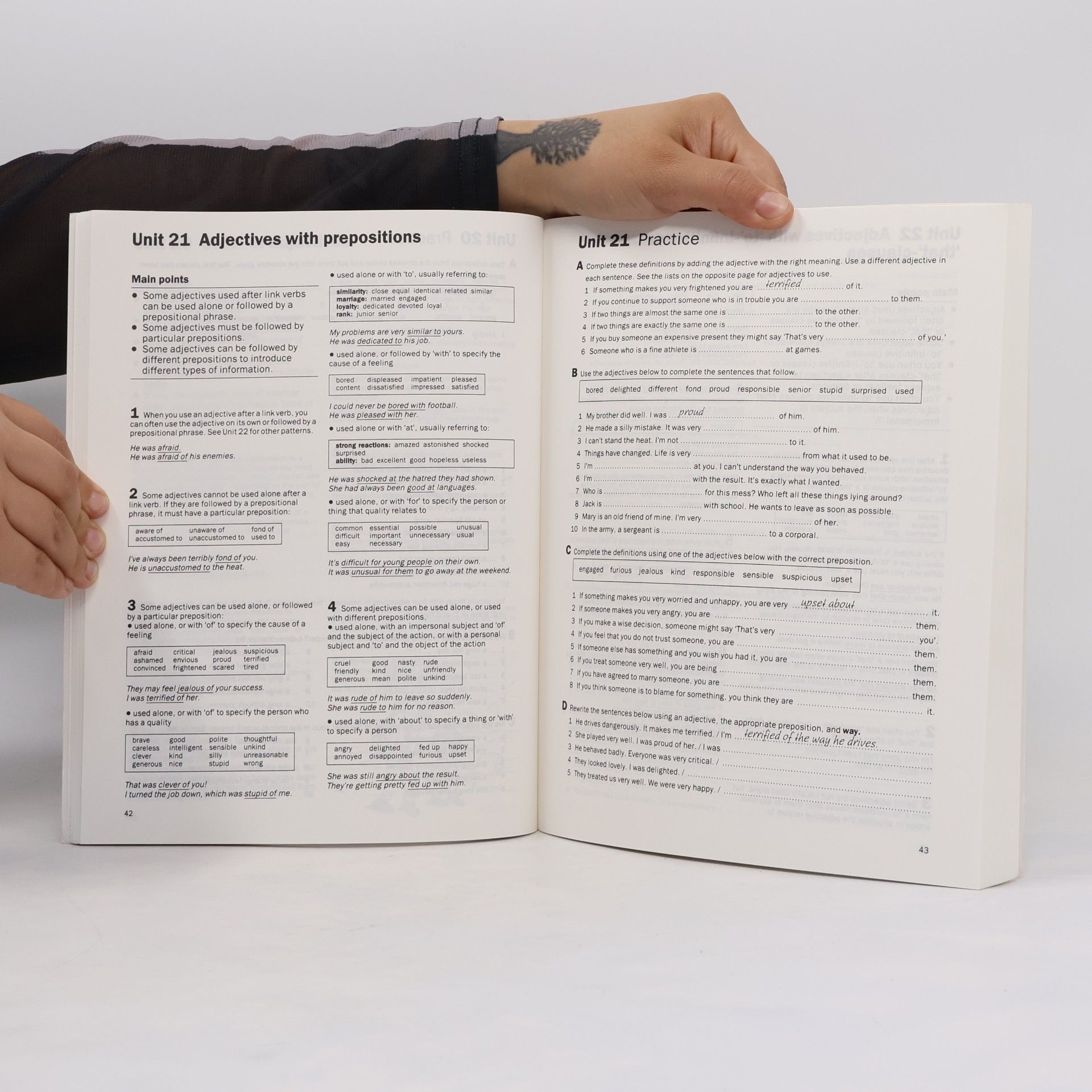 Dave Willis Collins Cobuild Student's Grammar