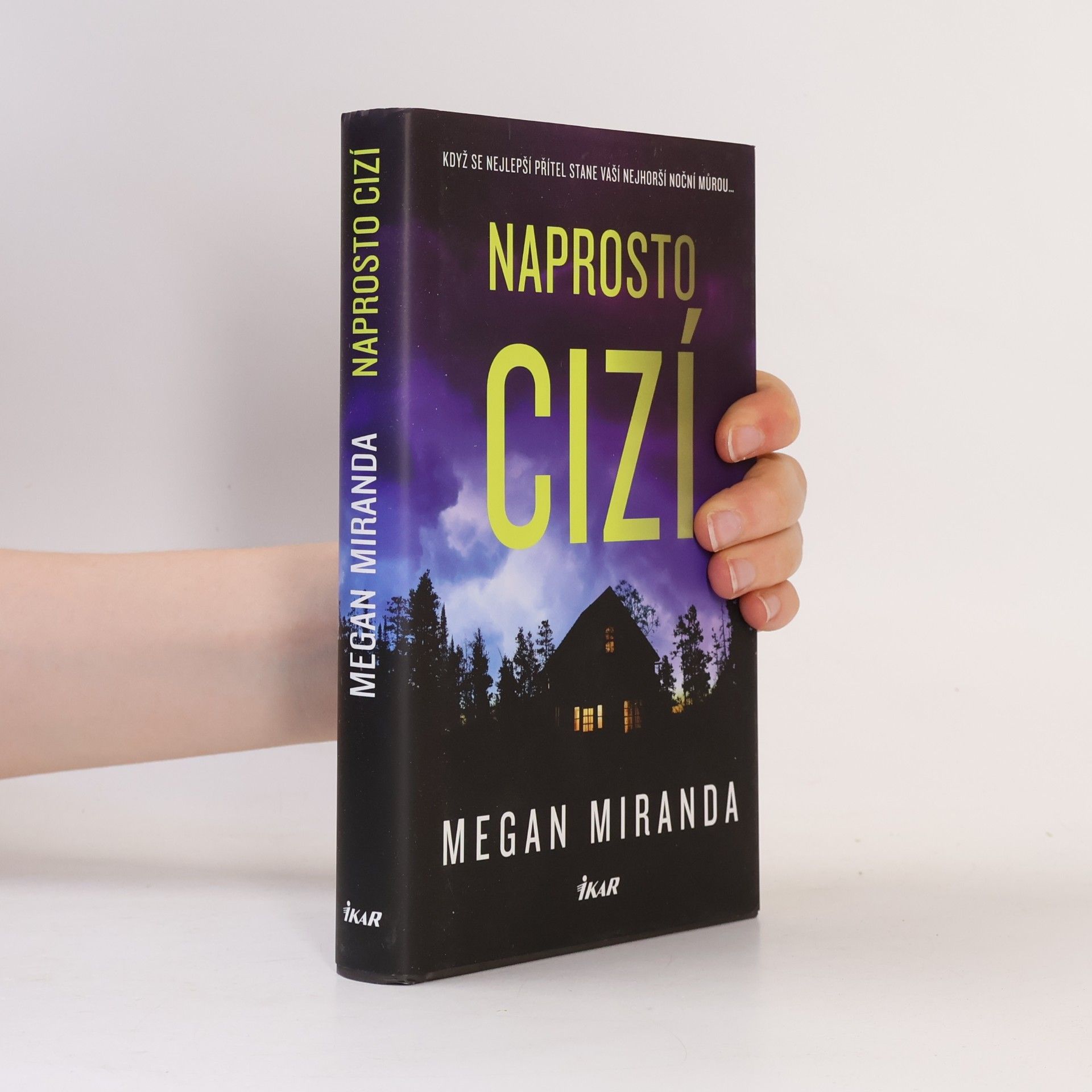 Megan Miranda Naprosto cizí