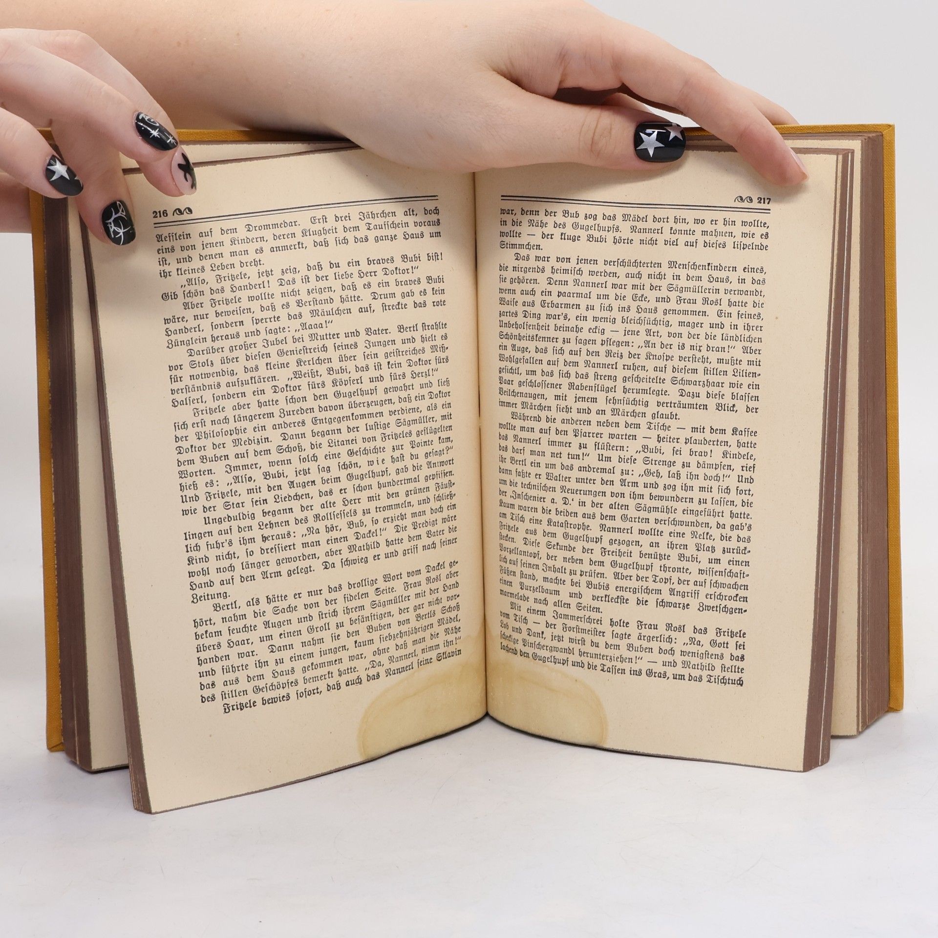 Ludwig Ganghofer Gesammelte Schriften Zweiten Serie 1