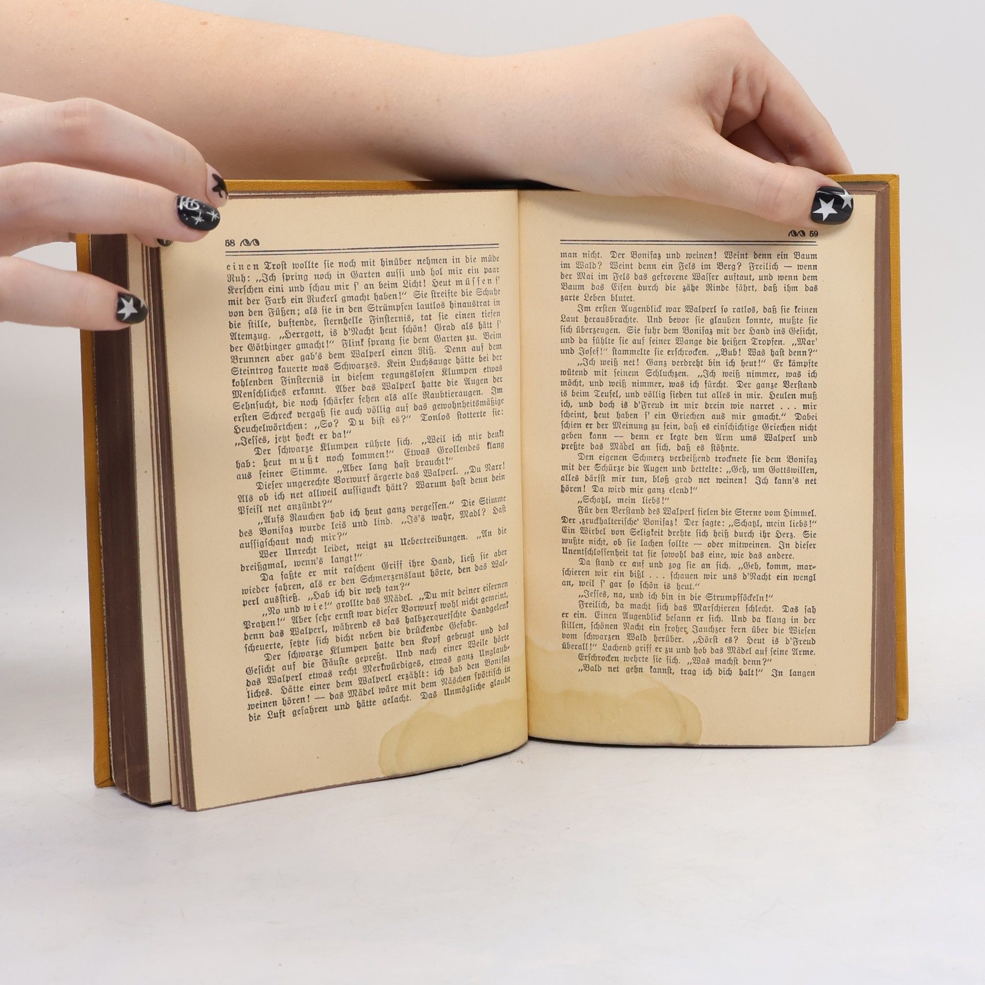 Ludwig Ganghofer Gesammelte Schriften Zweiten Serie 1