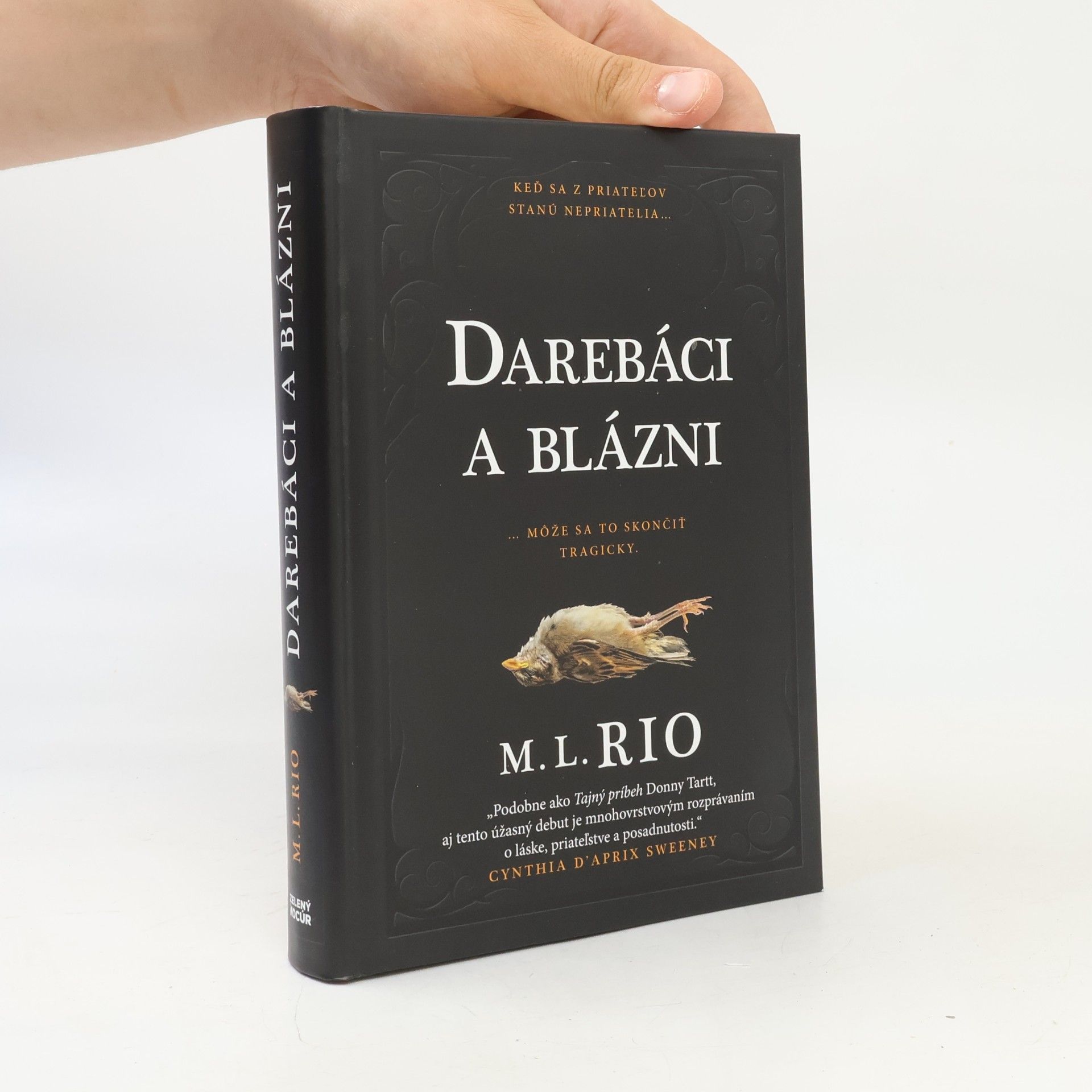 M. L. Rio Darebáci a blázni