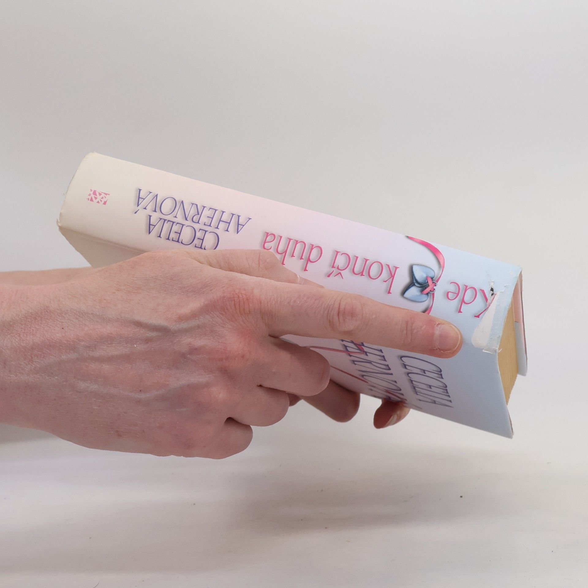 Cecelia Ahern Kde končí duha