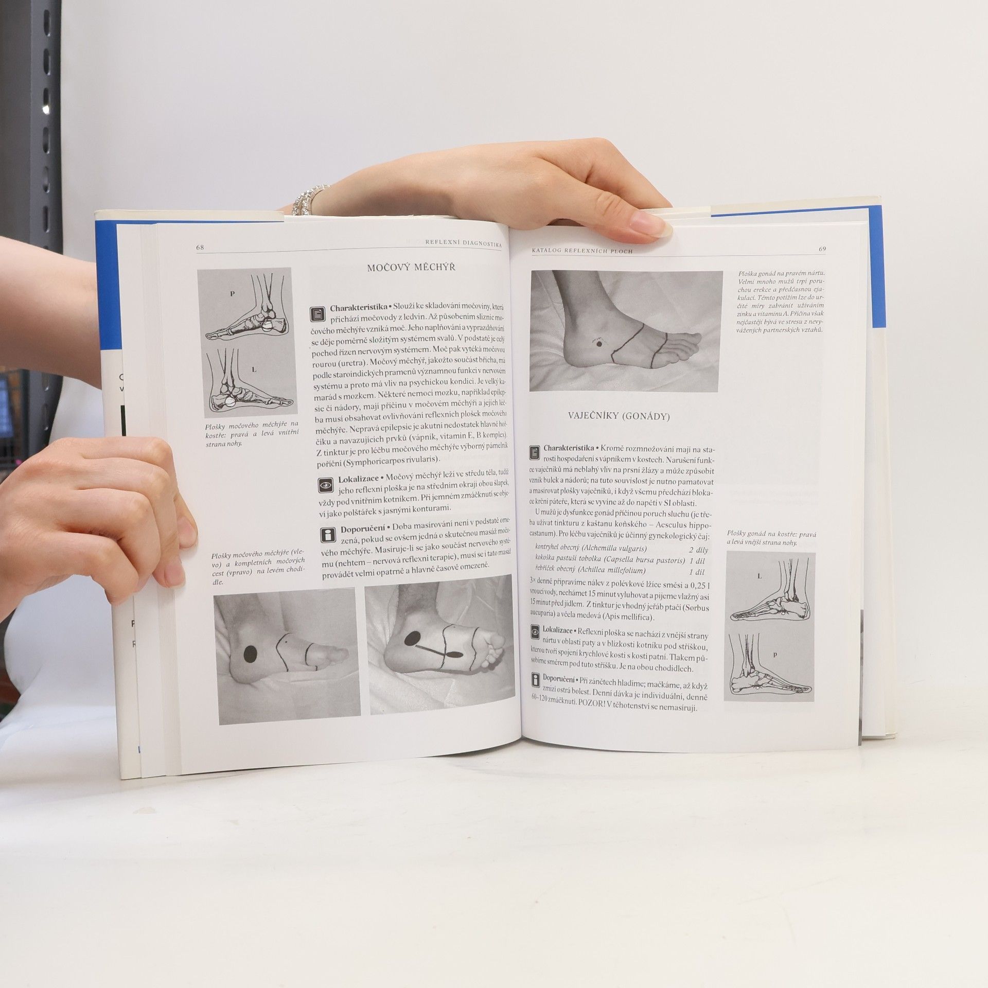 Beáta Patakyová Reflexní diagnostika a katalog reflexních ploch