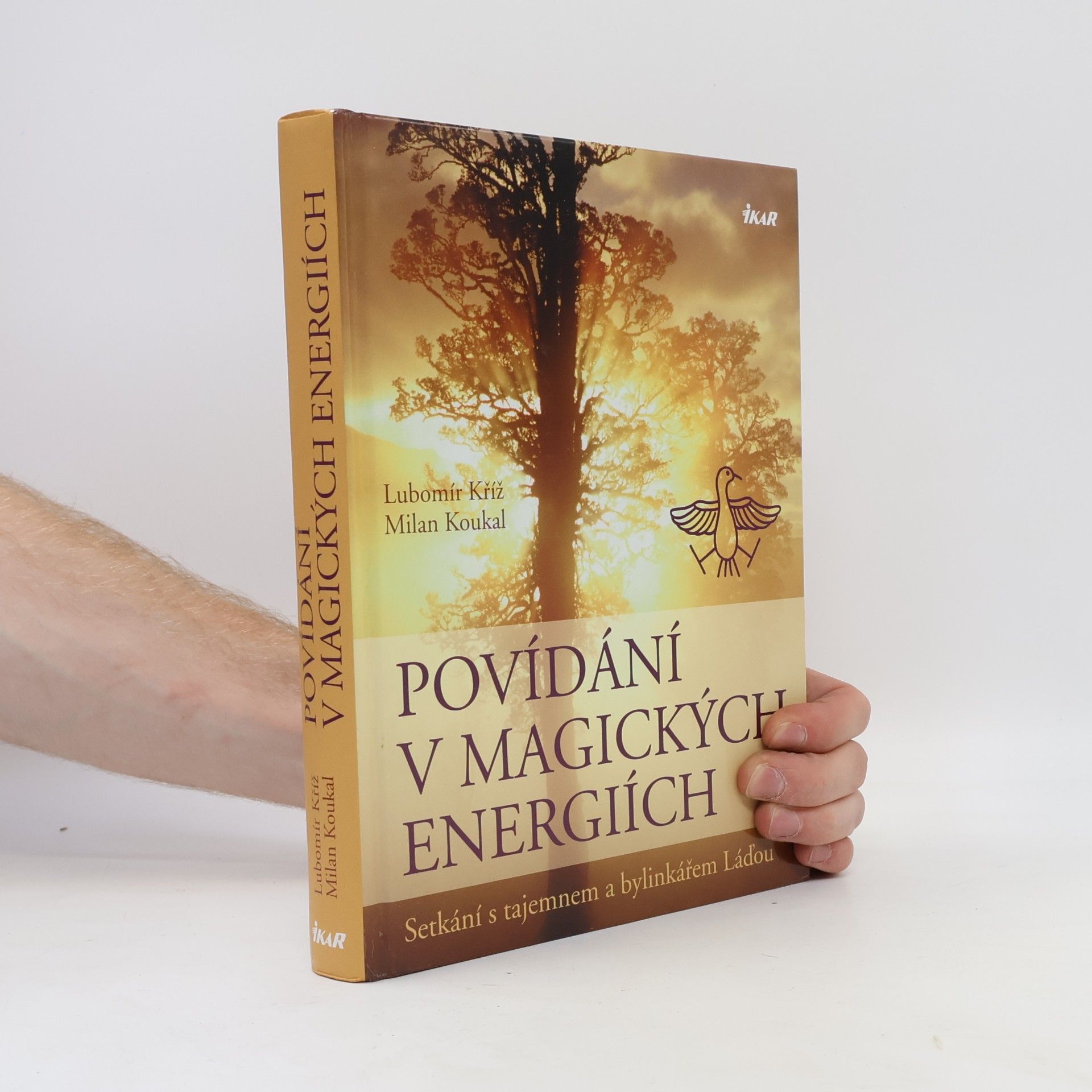 Lubomír Kříž Povídání v magických energiích