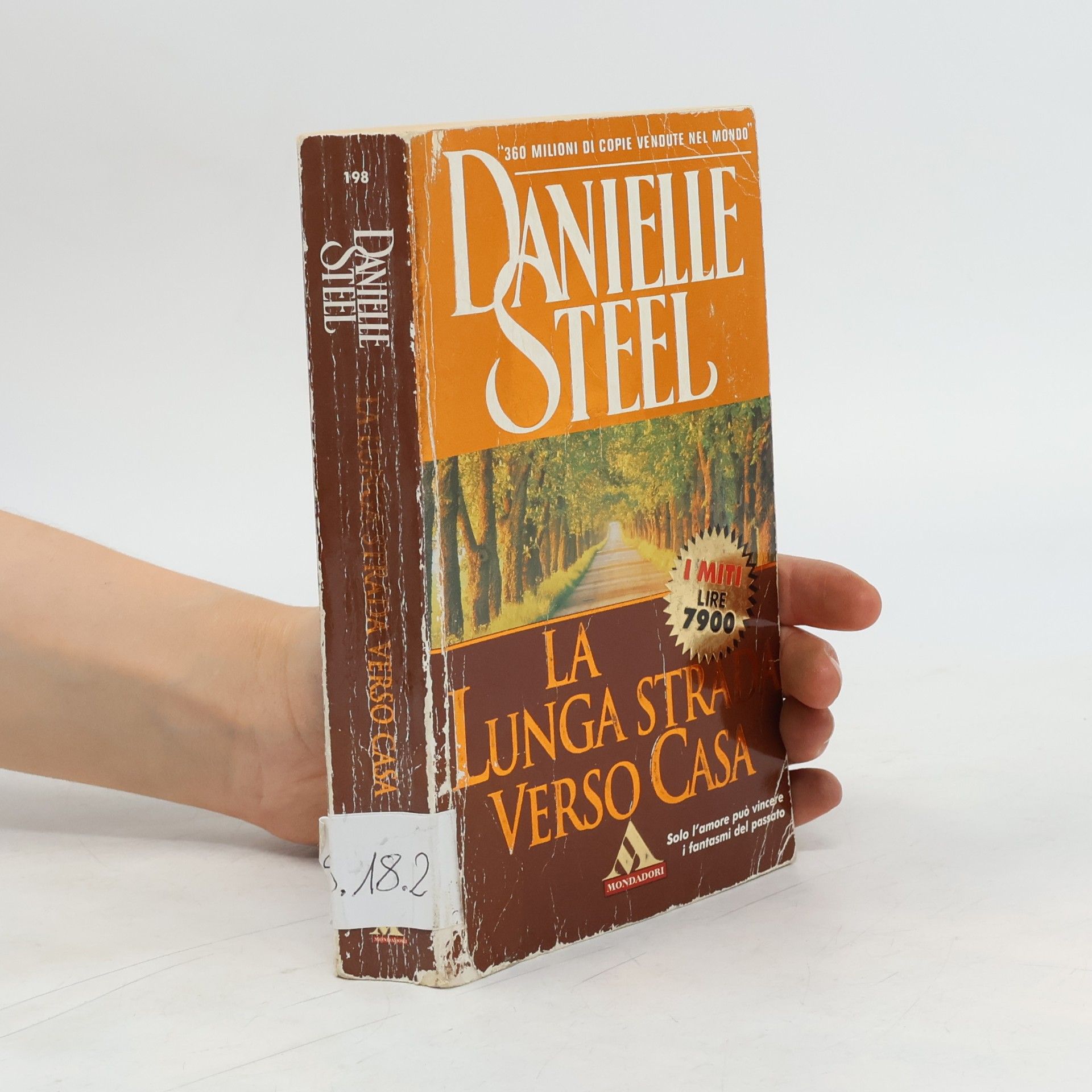Danielle Steel La lunga strada verso casa