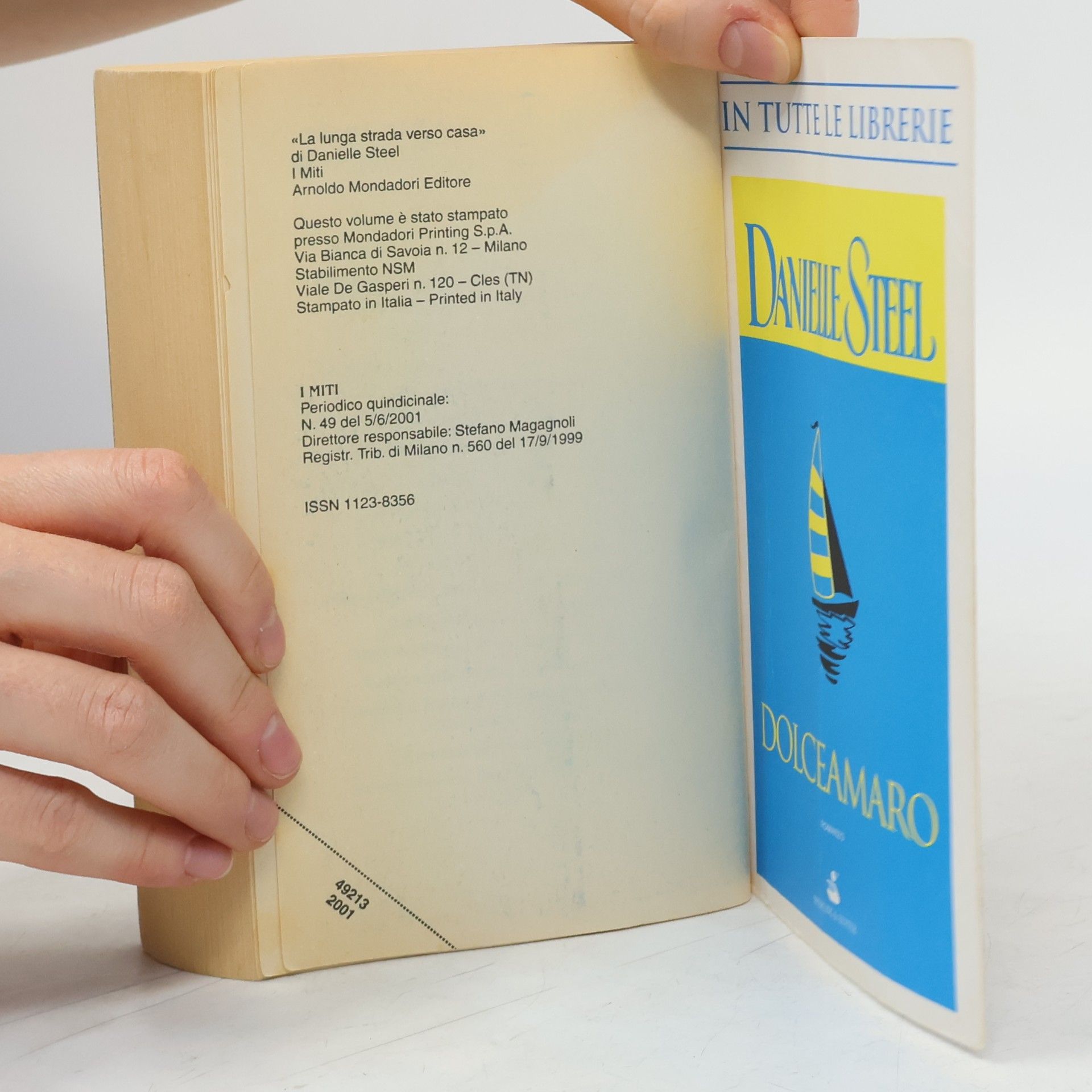 Danielle Steel La lunga strada verso casa