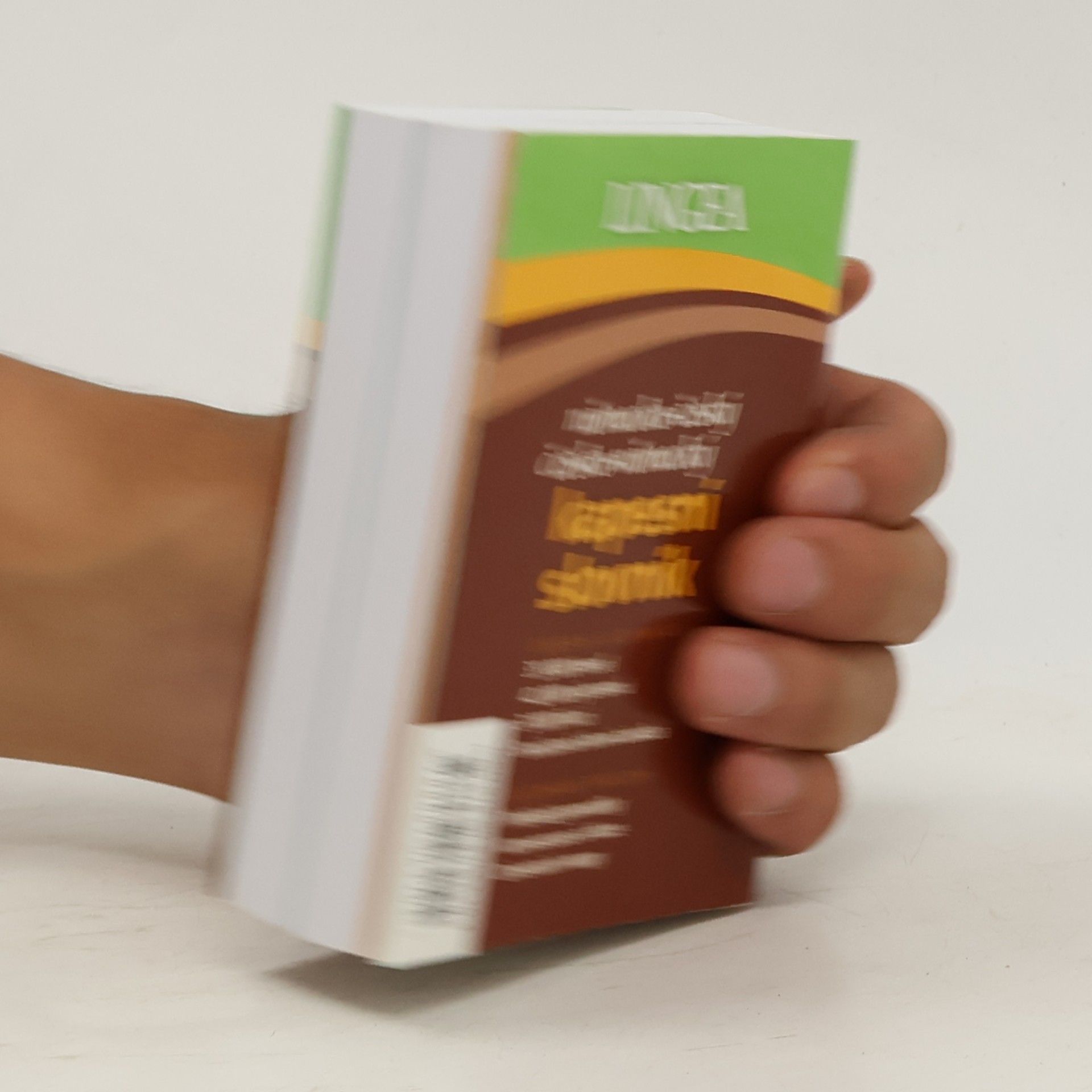 Autorenkollektiv Německo-český, česko-německý kapesní slovník
