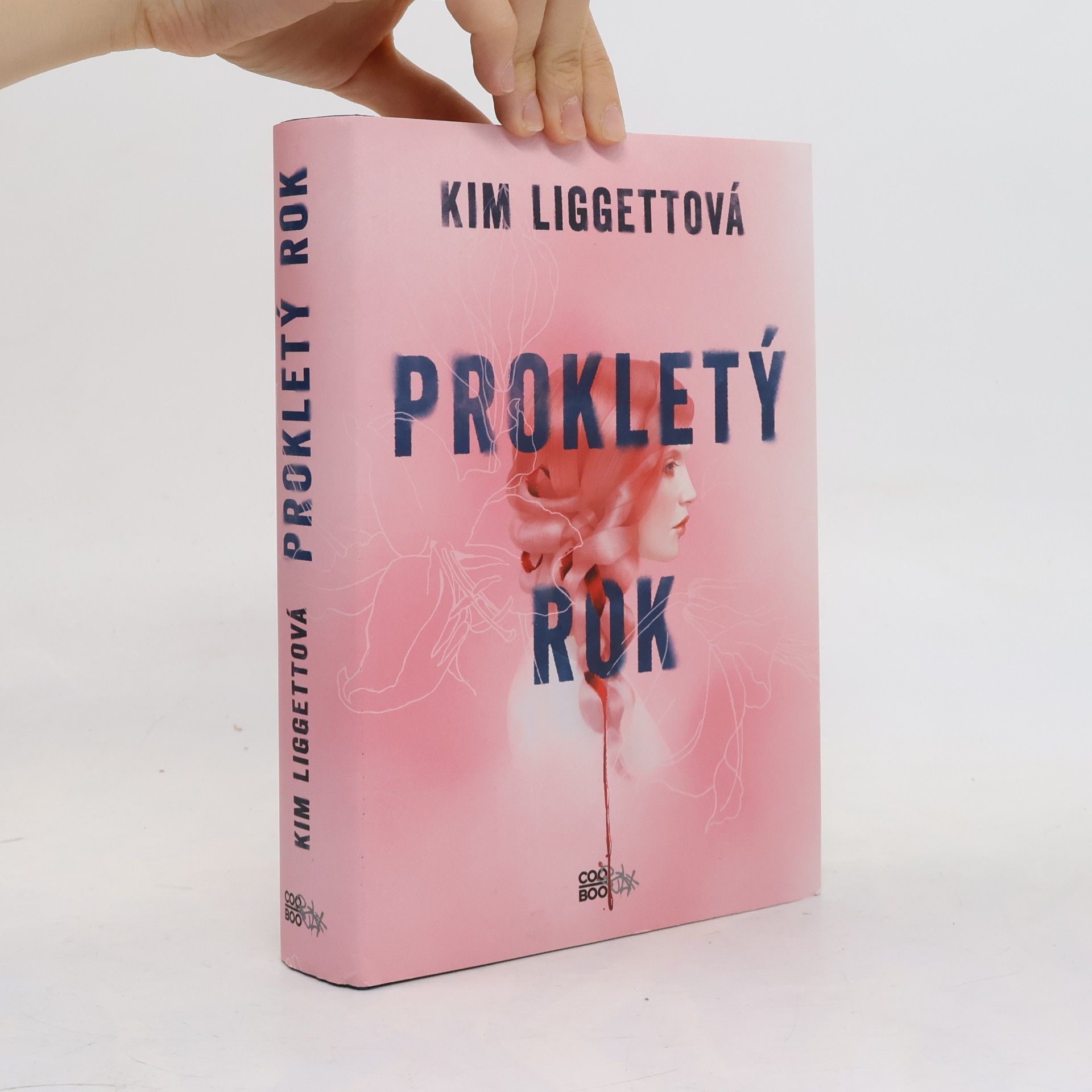 Kim Liggett Prokletý rok