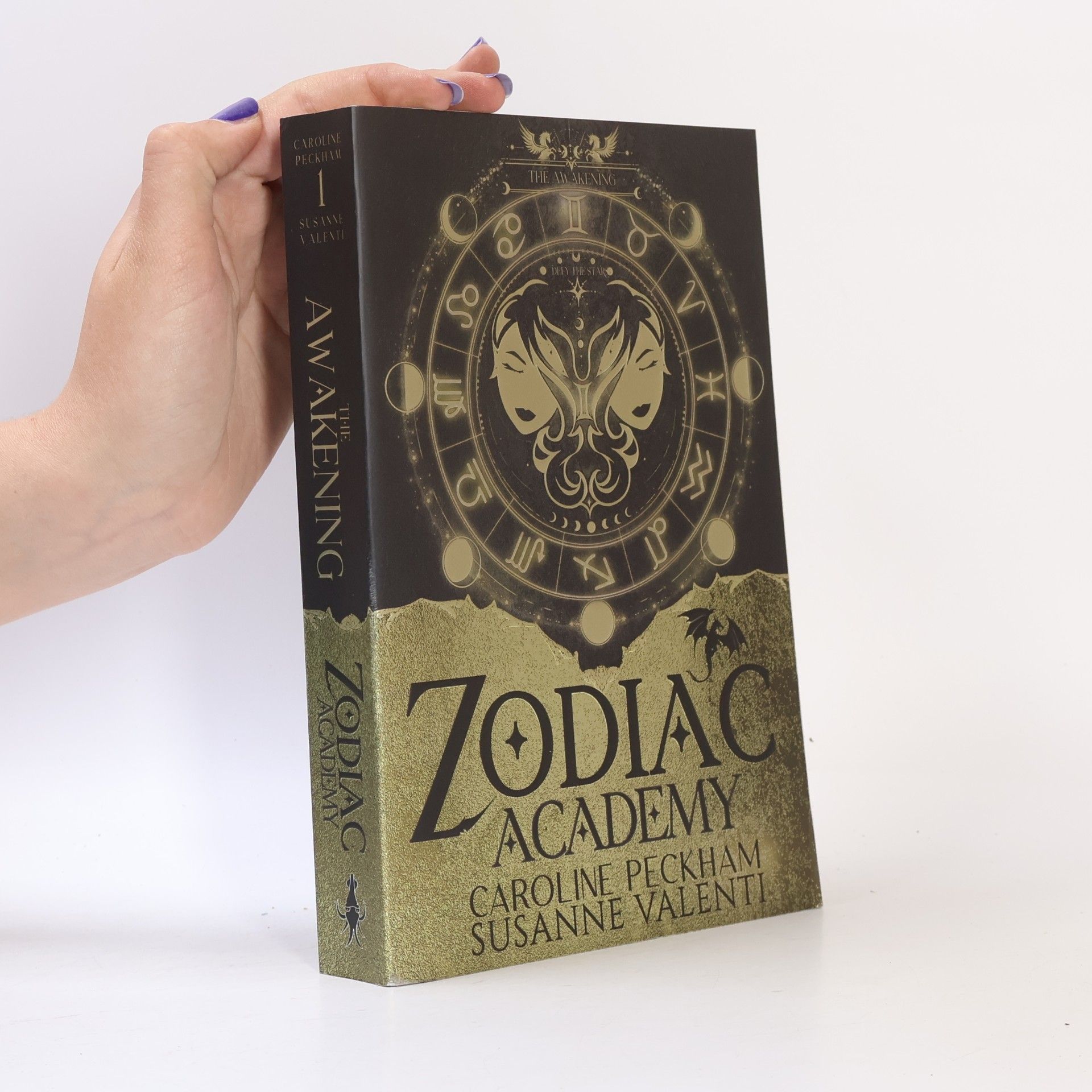 Zodiac Academy 1: The Awakening