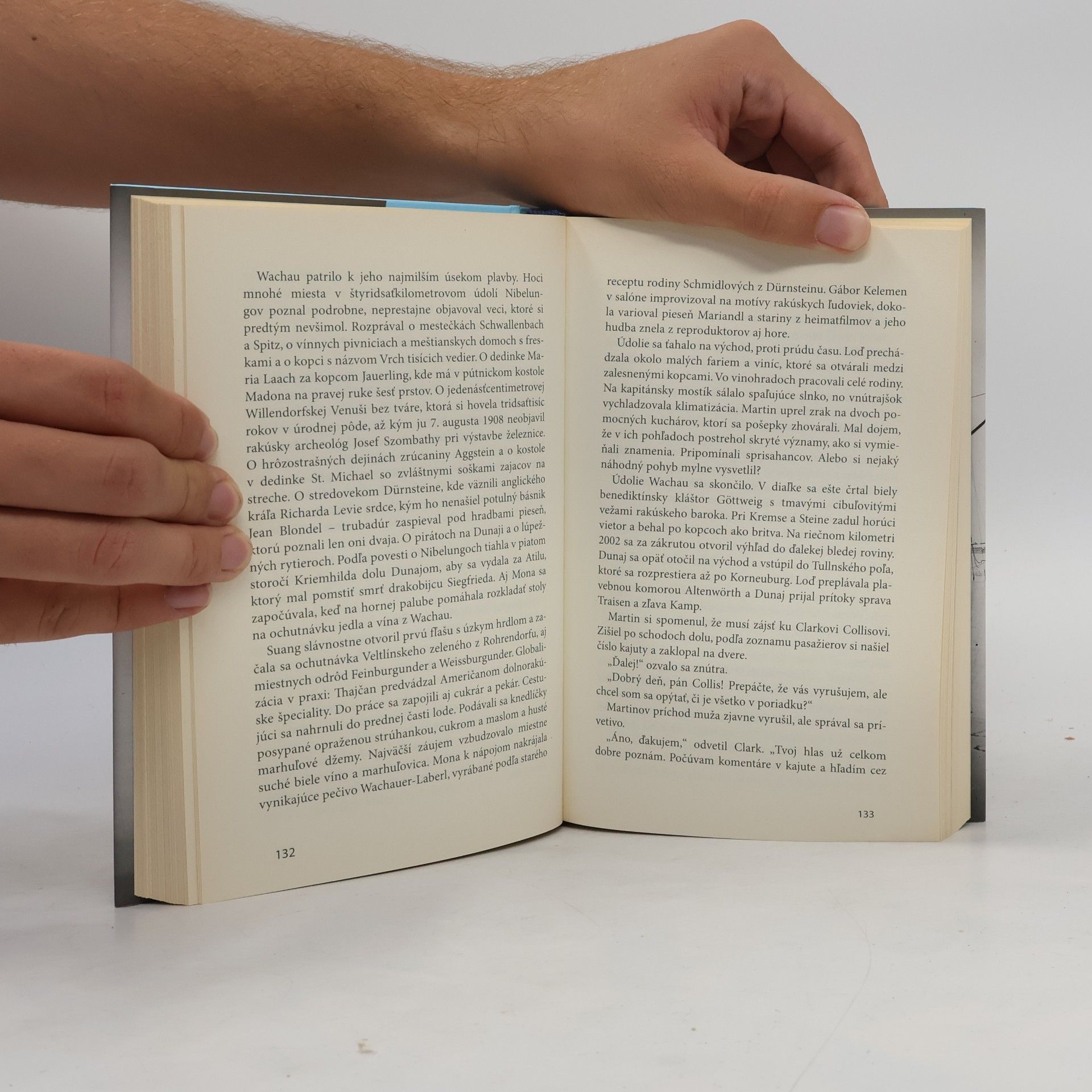 Michal Hvorecký Dunaj v Amerike