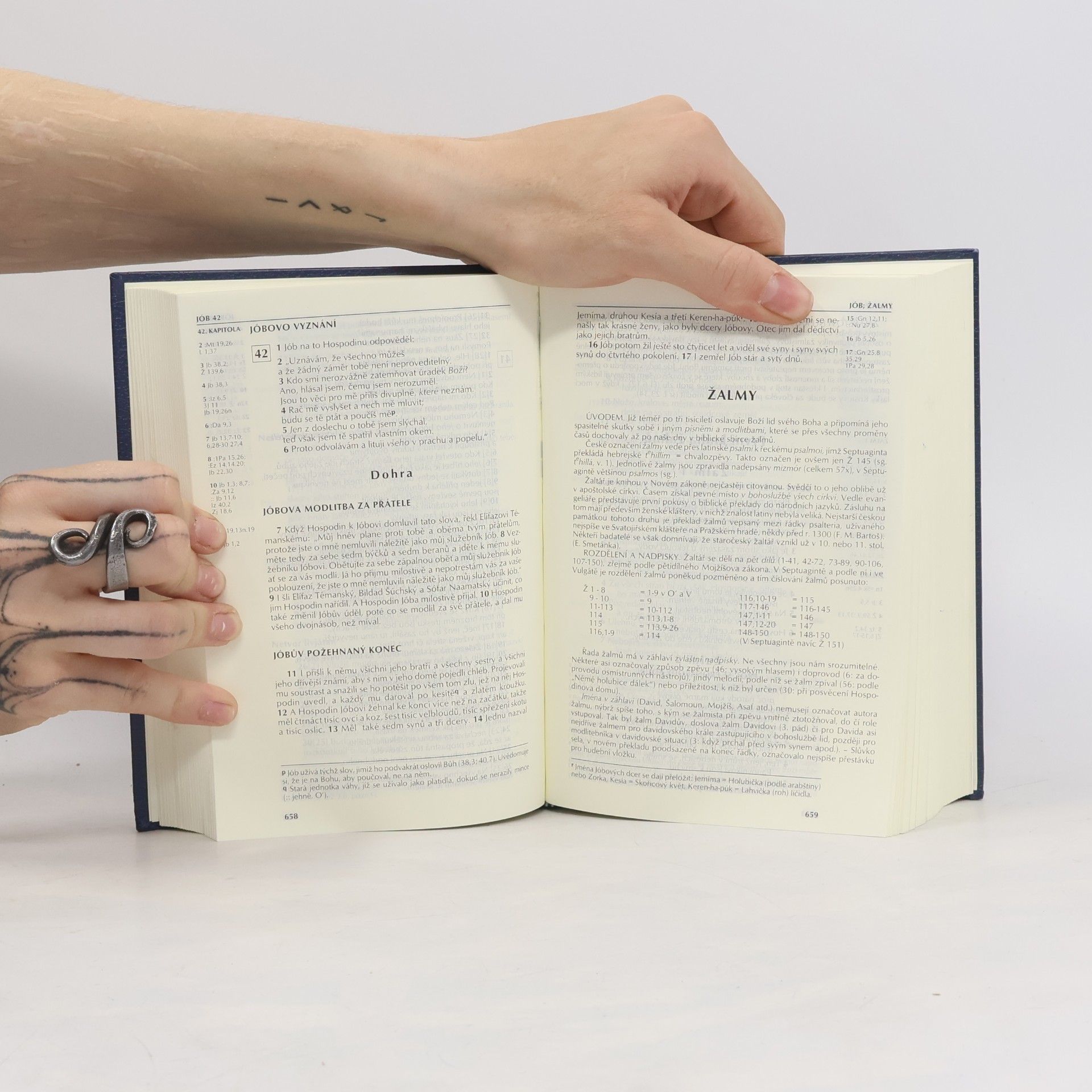 Autorenkollektiv Bible : Písmo svaté Starého a Nového zákona (včetně deuterokanonických knih)