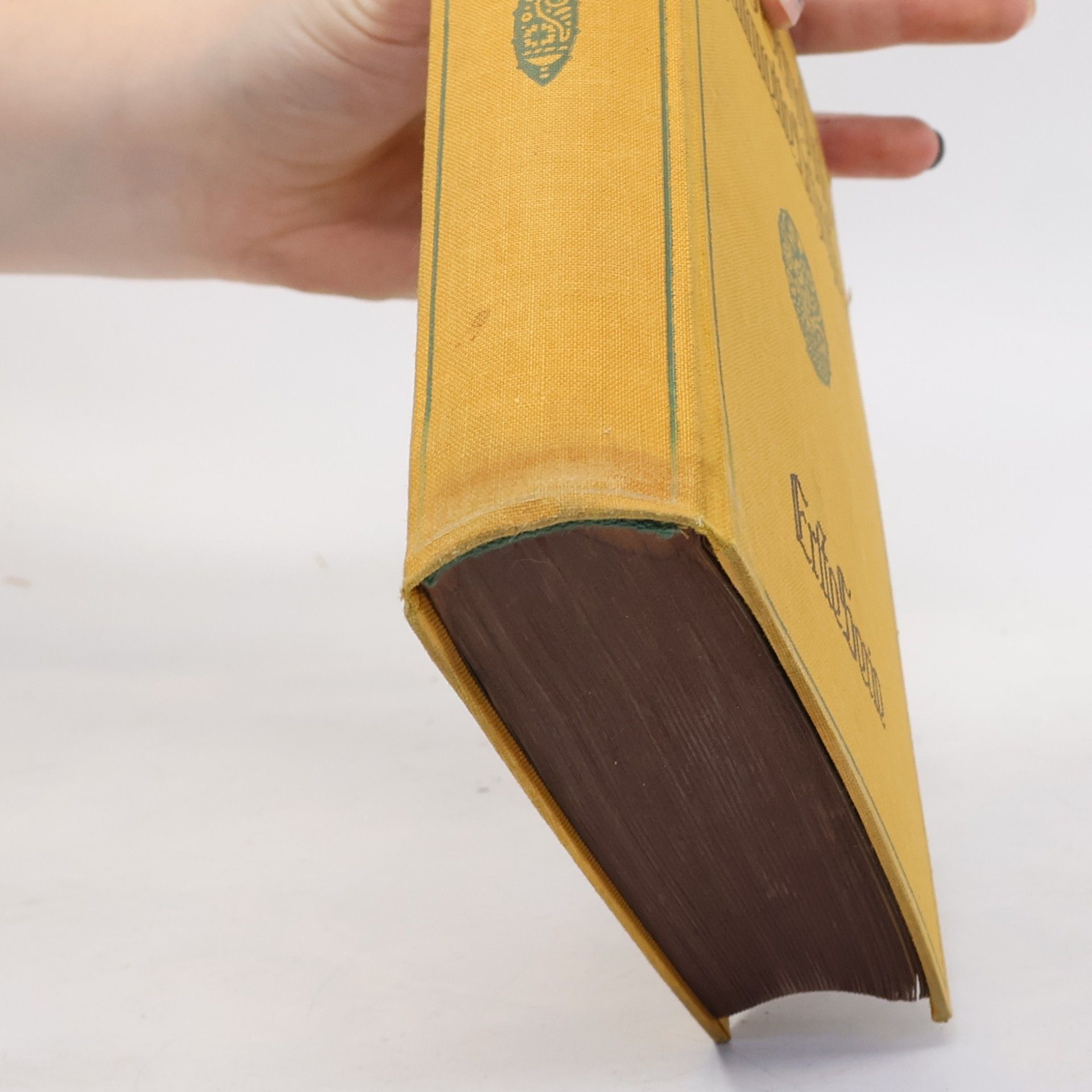 Ludwig Ganghofer Gesammelte Schriften I./9