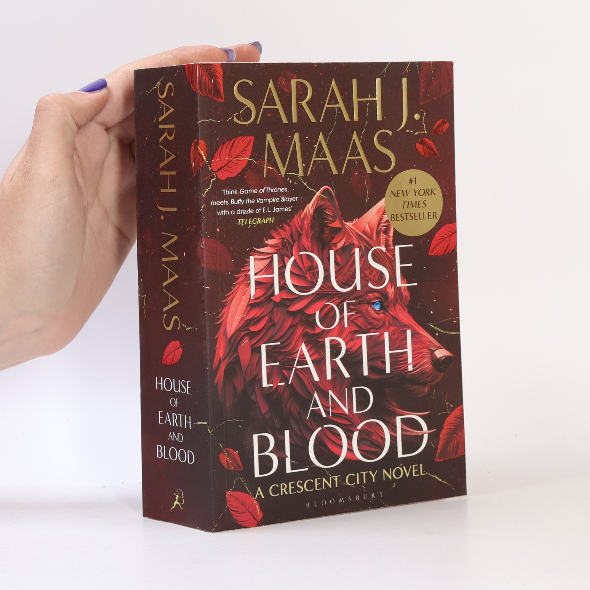 Sarah J. Maas House of Earth and Blood