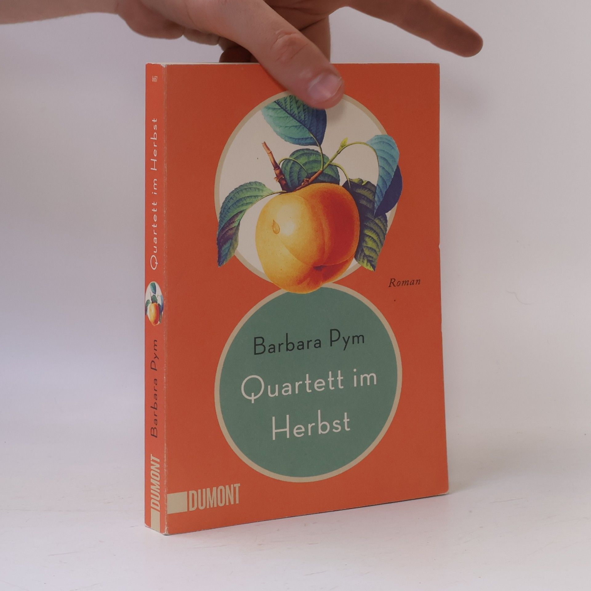 Barbara Pym Quartett im Herbst