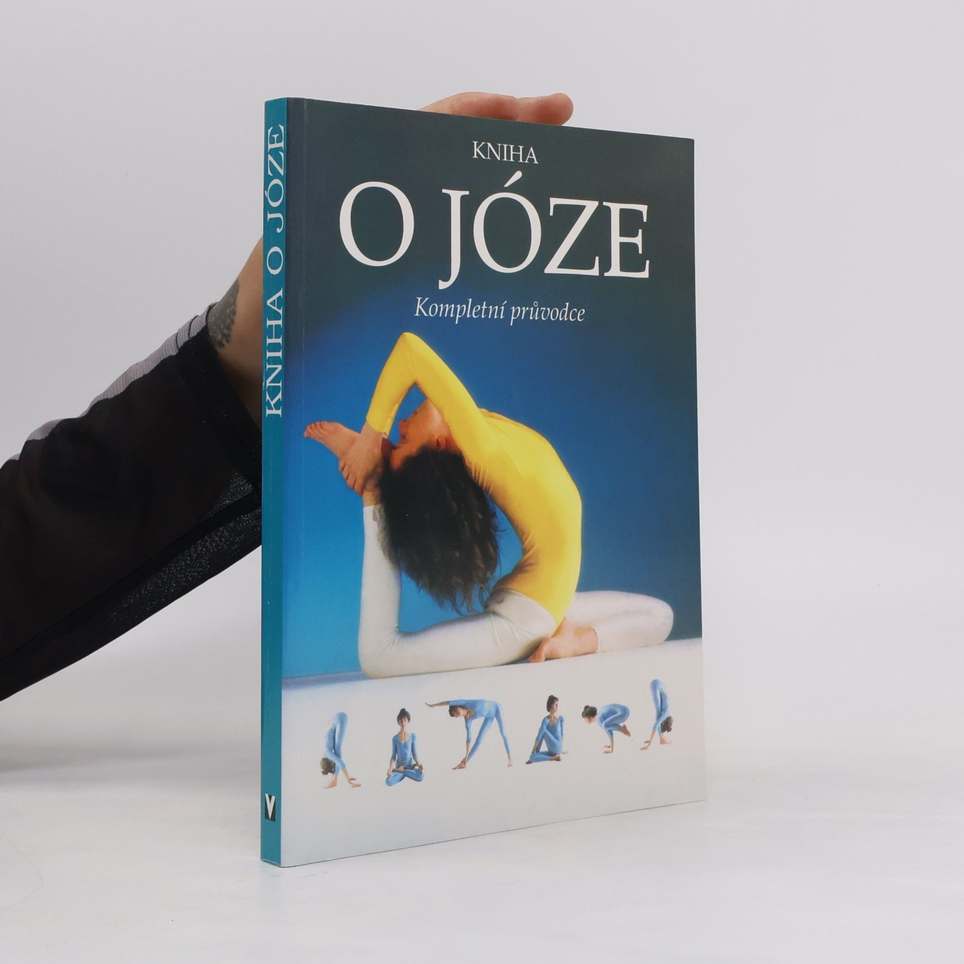 Giris Rabinovič Kniha o józe
