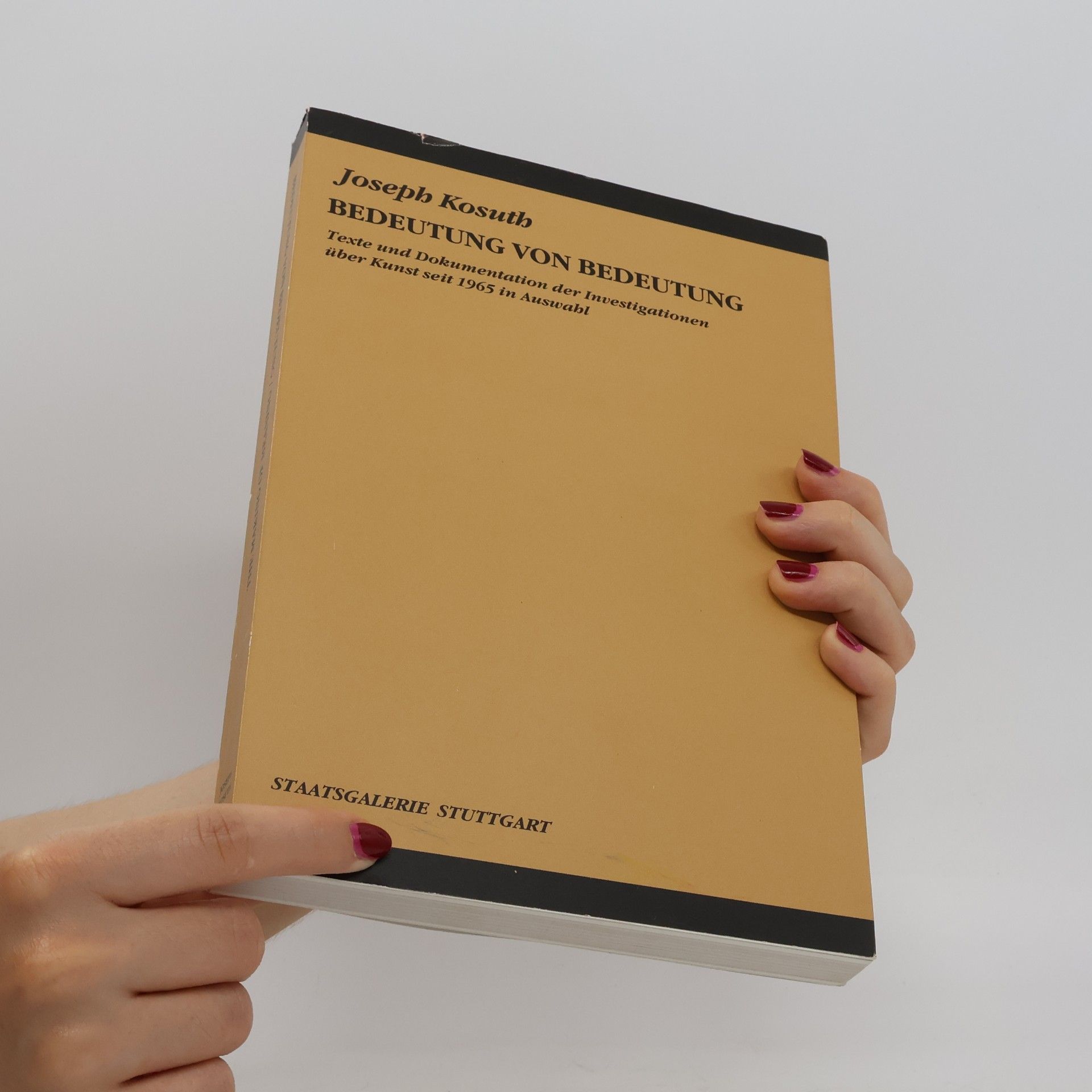 Joseph Kosuth Bedeutung von Bedeutung