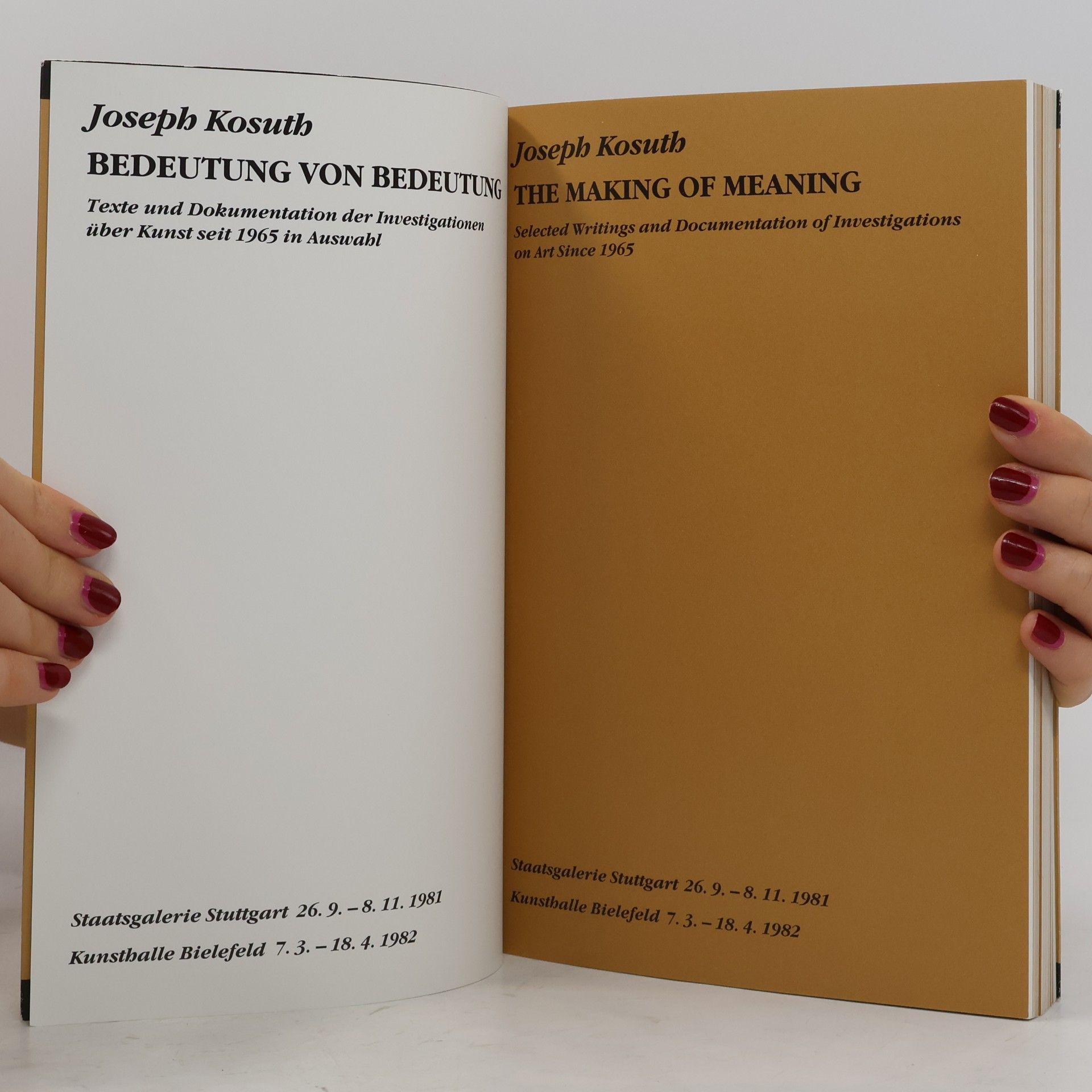 Joseph Kosuth Bedeutung von Bedeutung