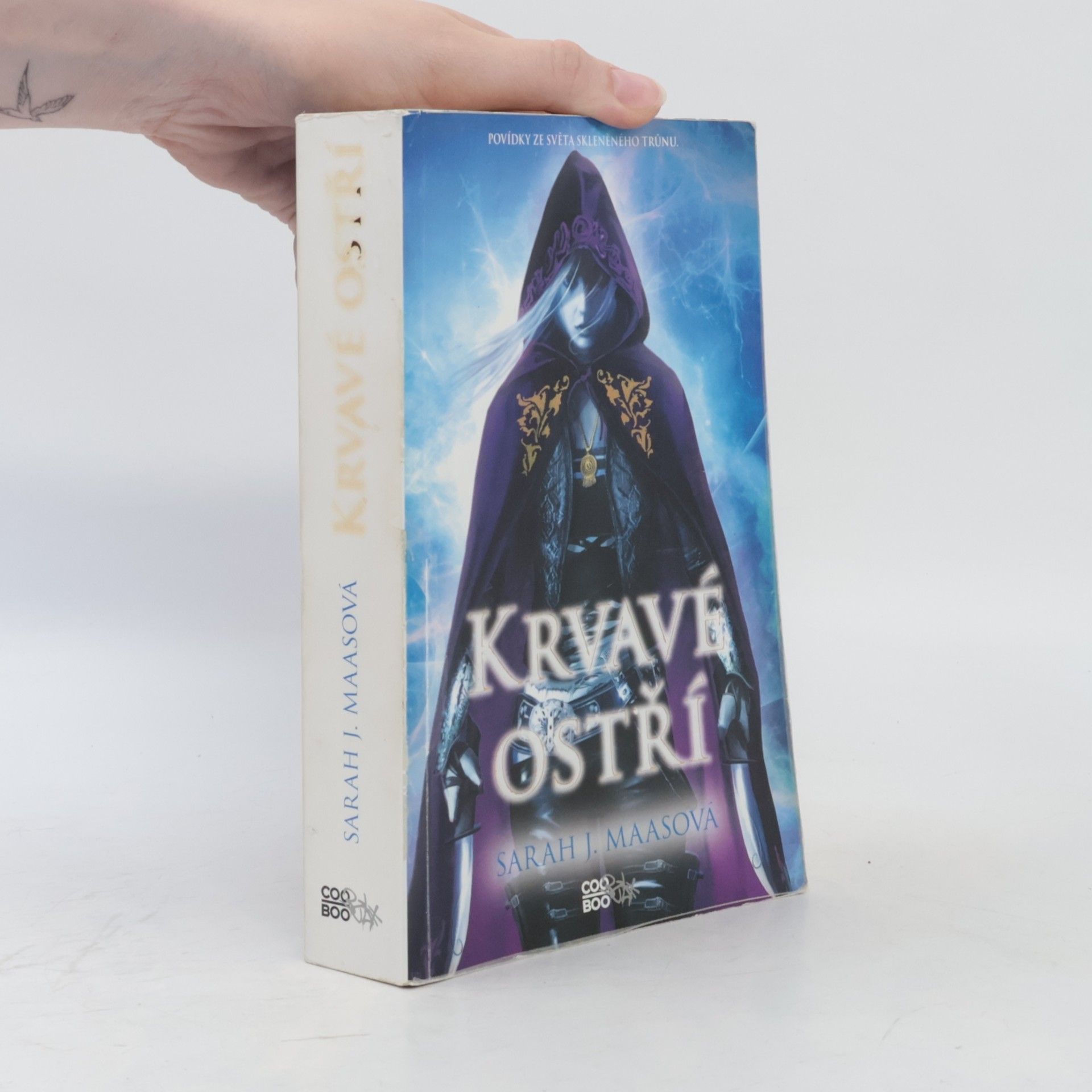 Sarah J. Maas Krvavé ostří