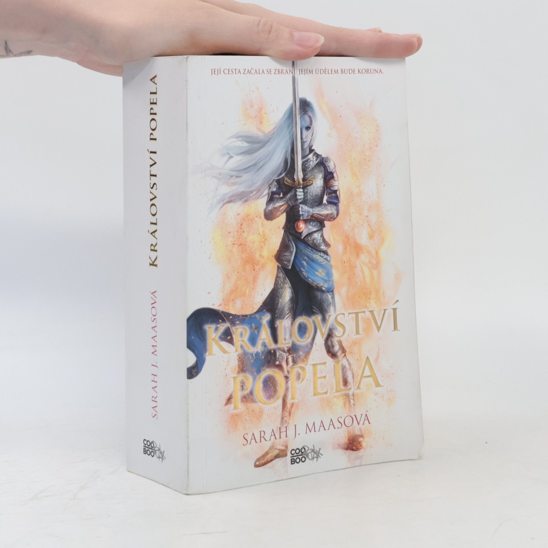 Sarah J. Maas Království popela