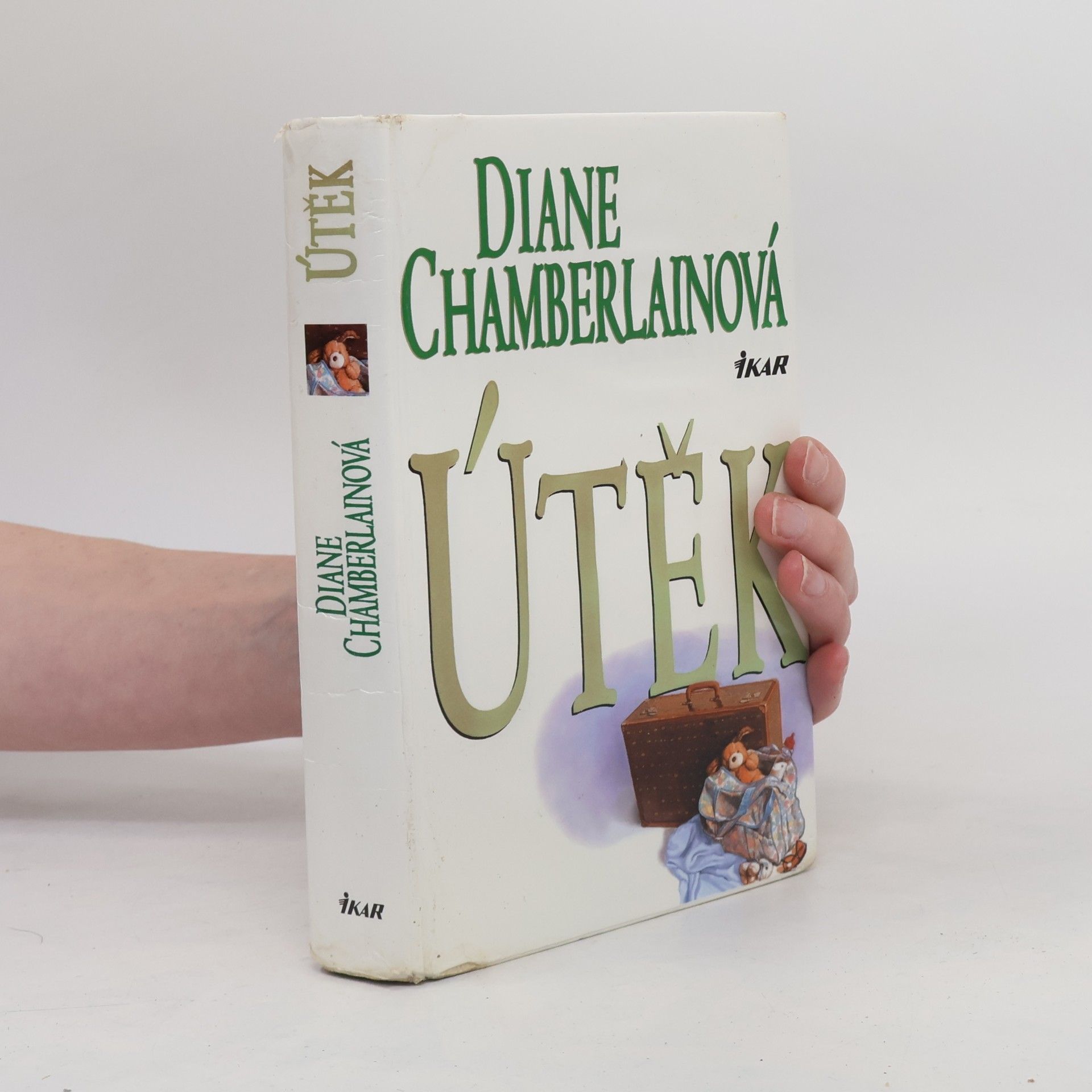Diane Chamberlain Útěk