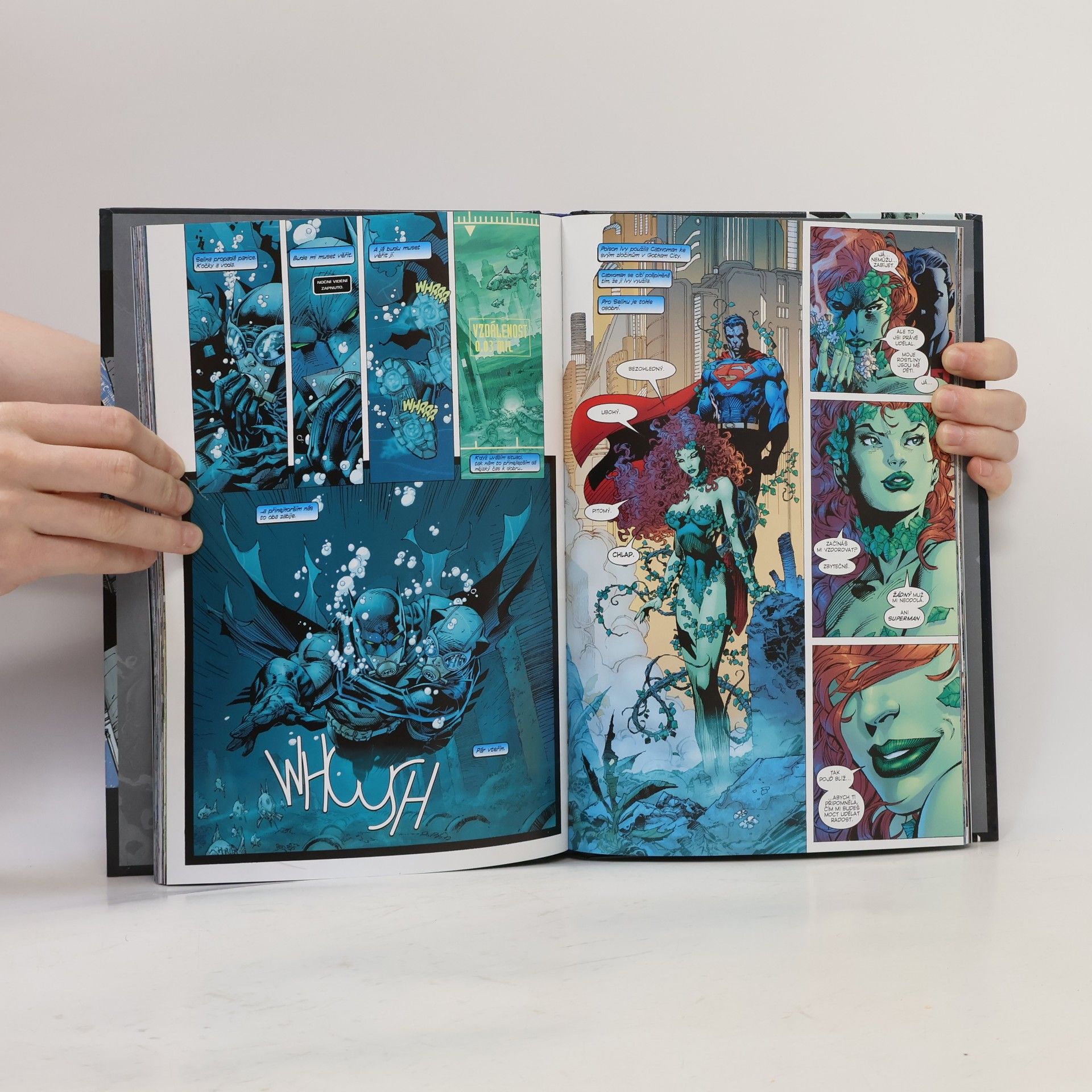 Jeph Loeb Batman: Ticho - Kniha první