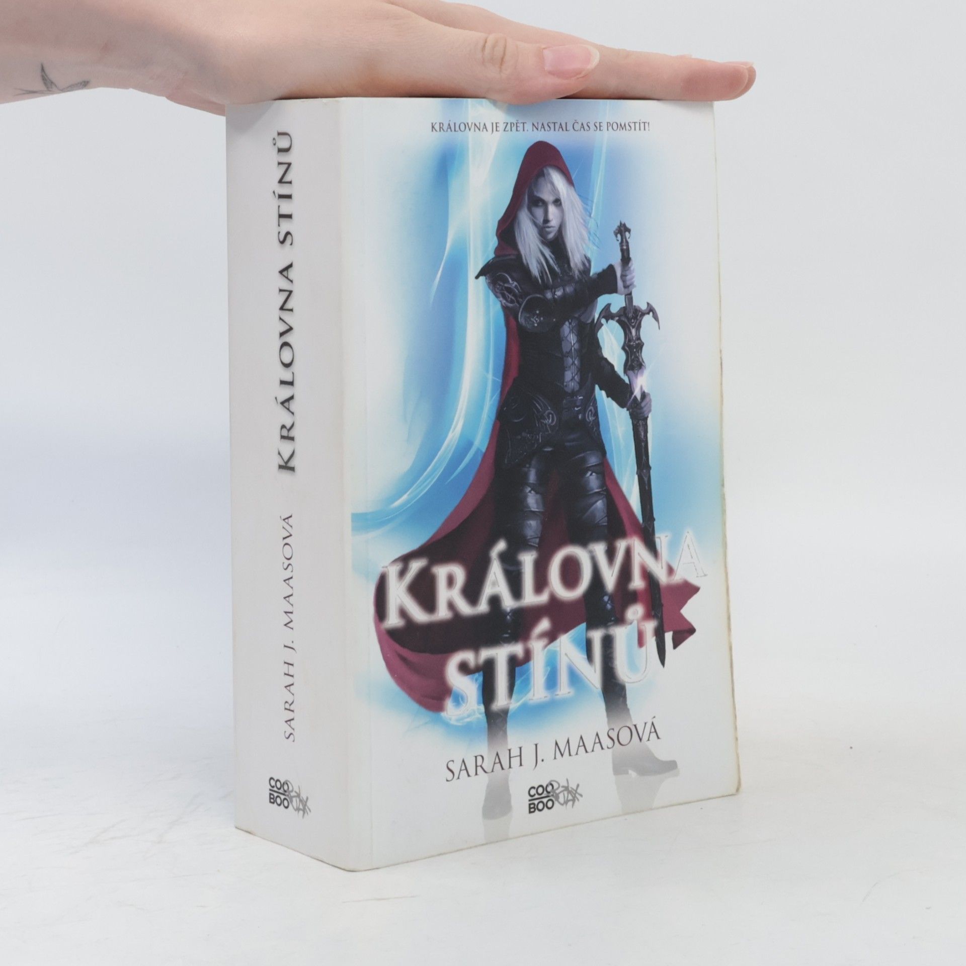 Sarah J. Maasová Královna stínů