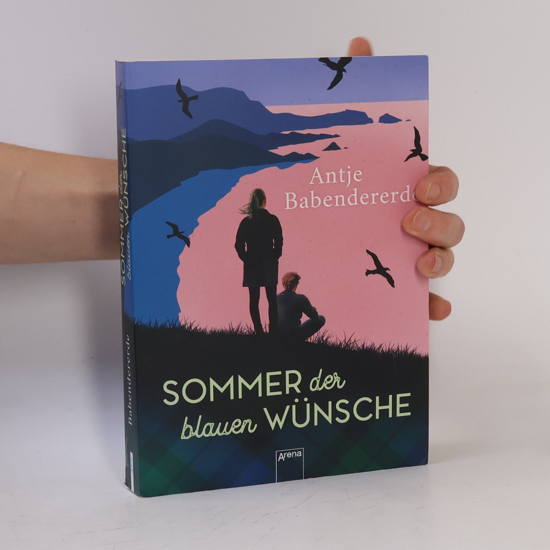 Antje Babendererde Sommer der blauen Wünsche