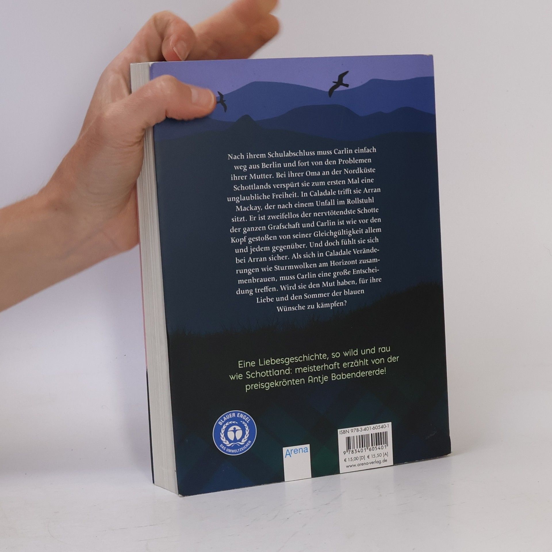 Antje Babendererde Sommer der blauen Wünsche
