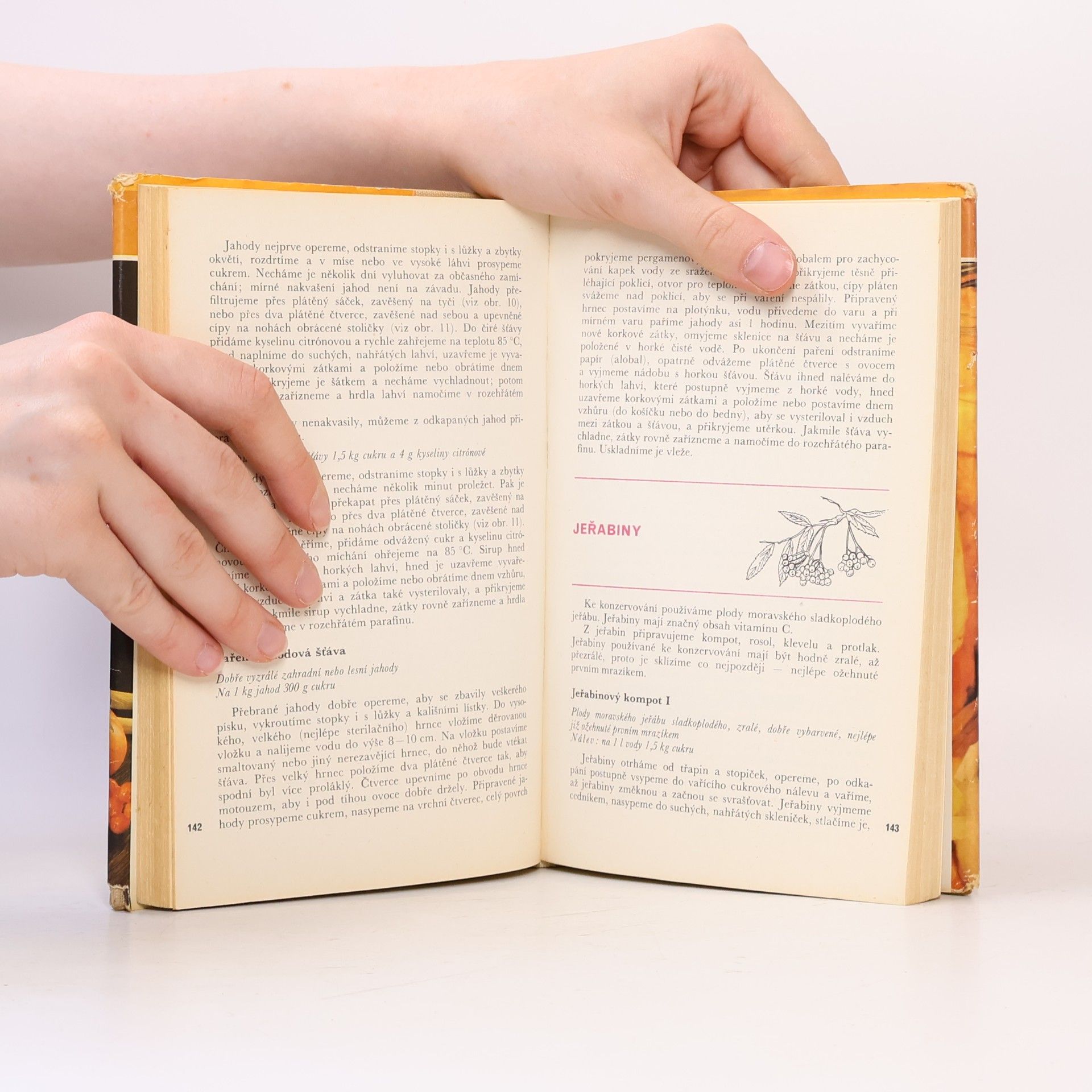 Various authors Domácí konzervování ovoce a zeleniny