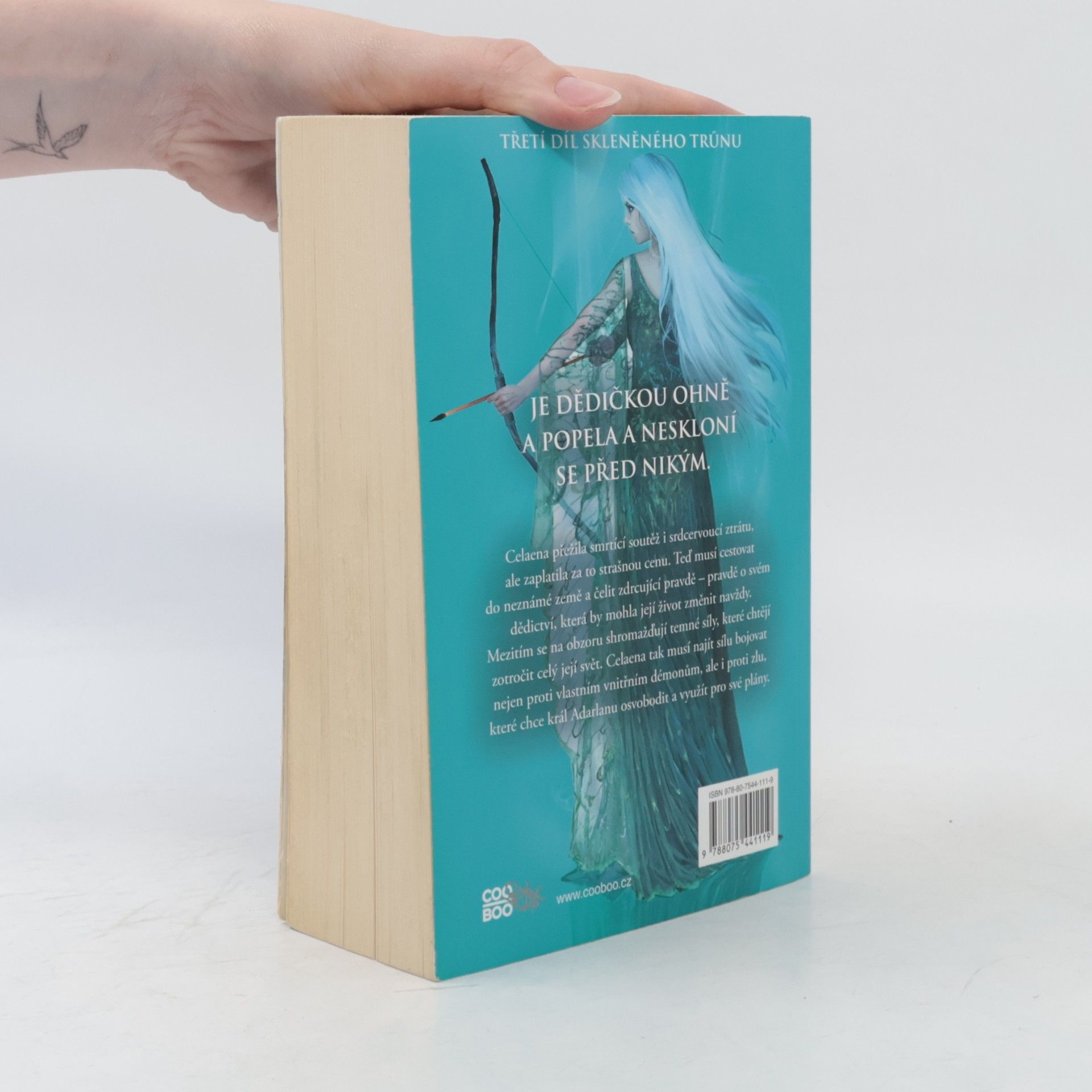 Sarah J. Maas Dědička ohně