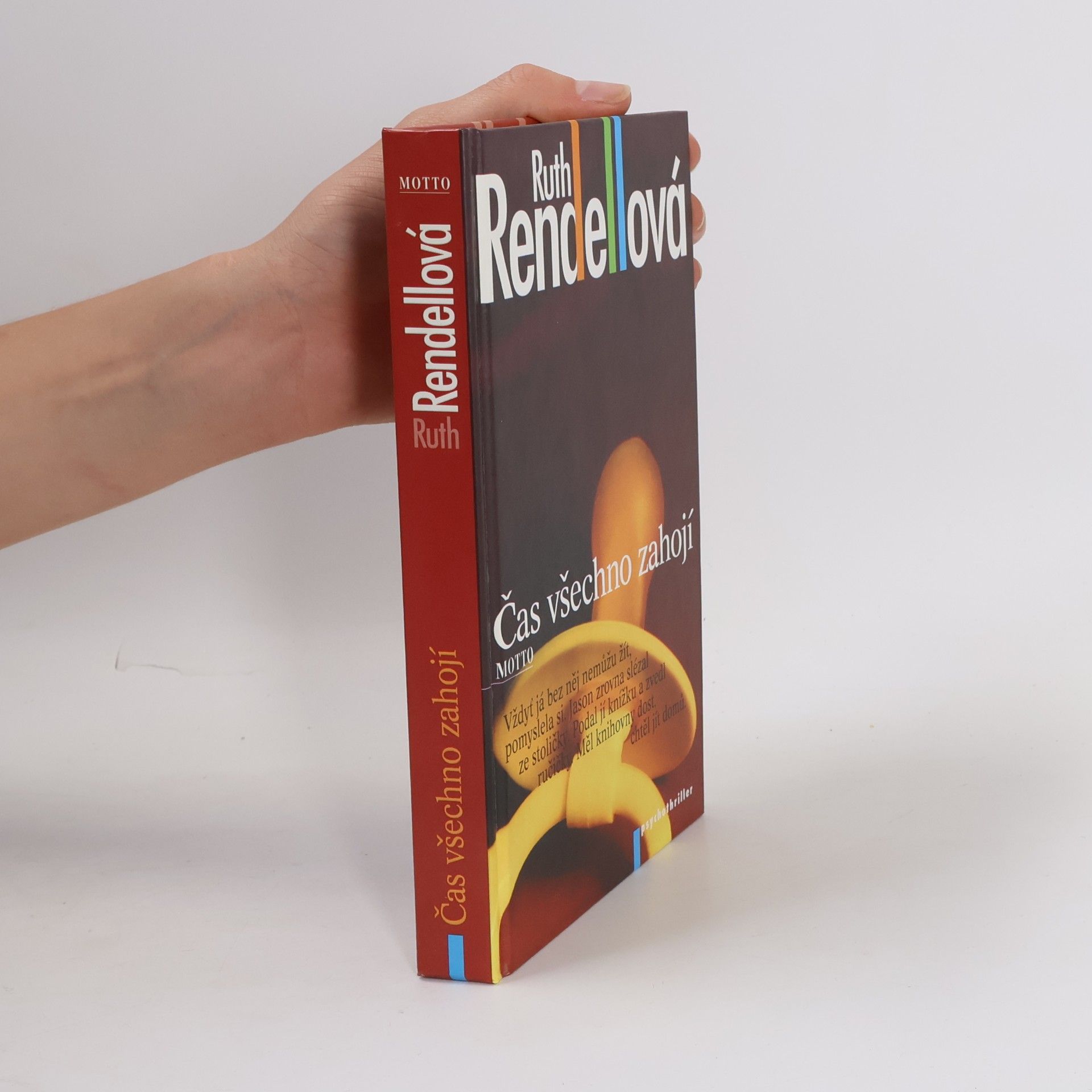 Ruth Rendell Čas všechno zahojí