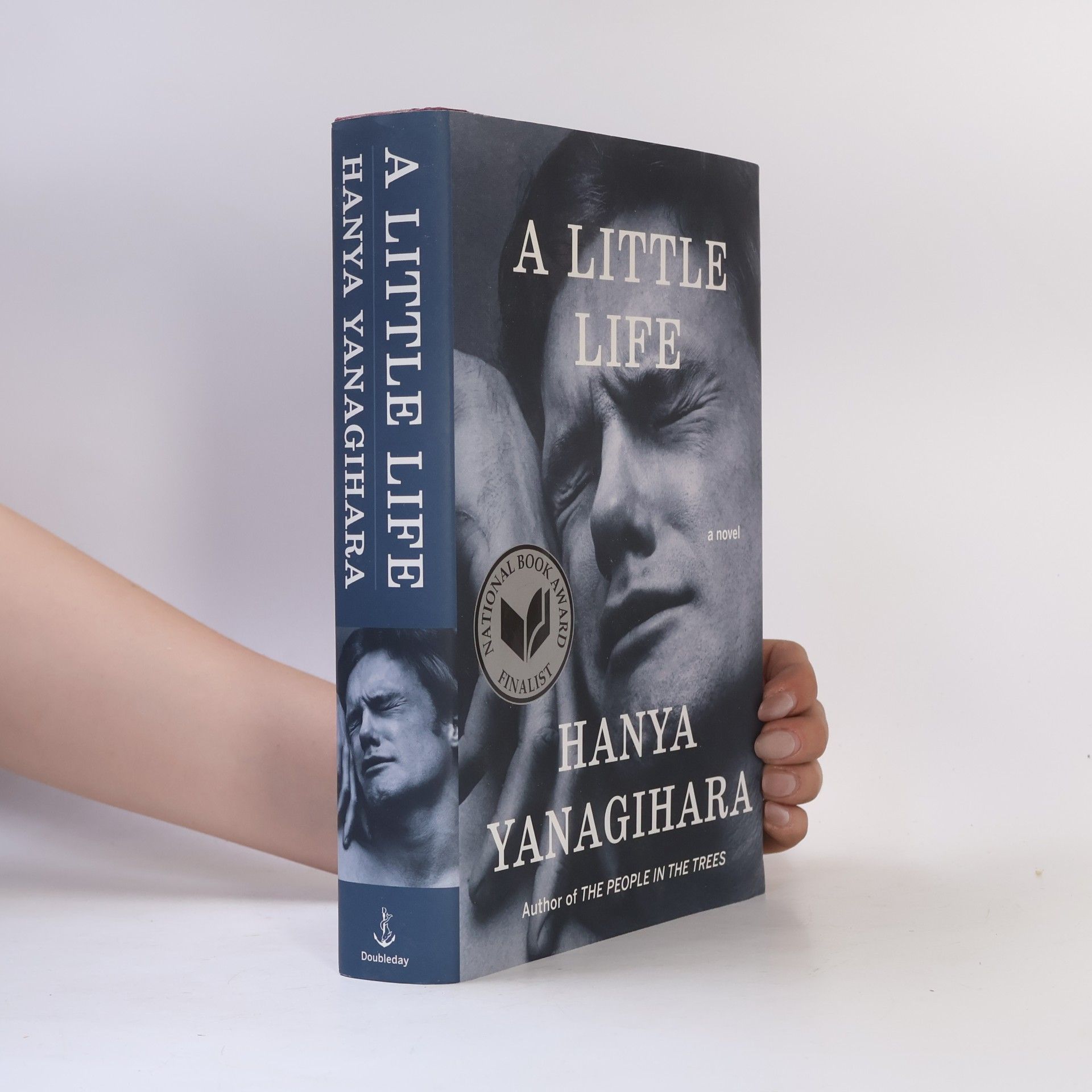 Hanya Yanagihara A Little Life