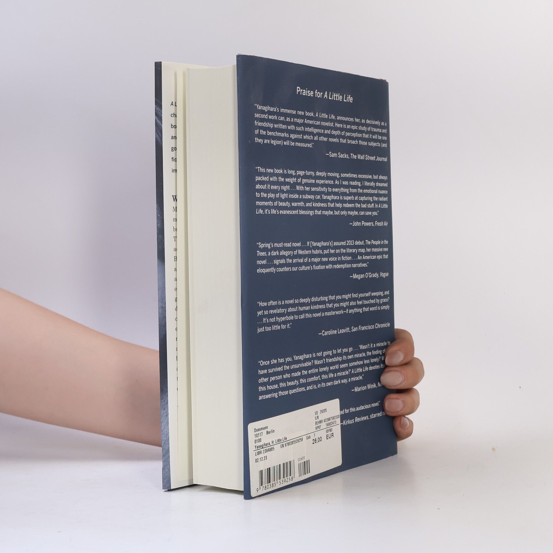 Hanya Yanagihara A Little Life