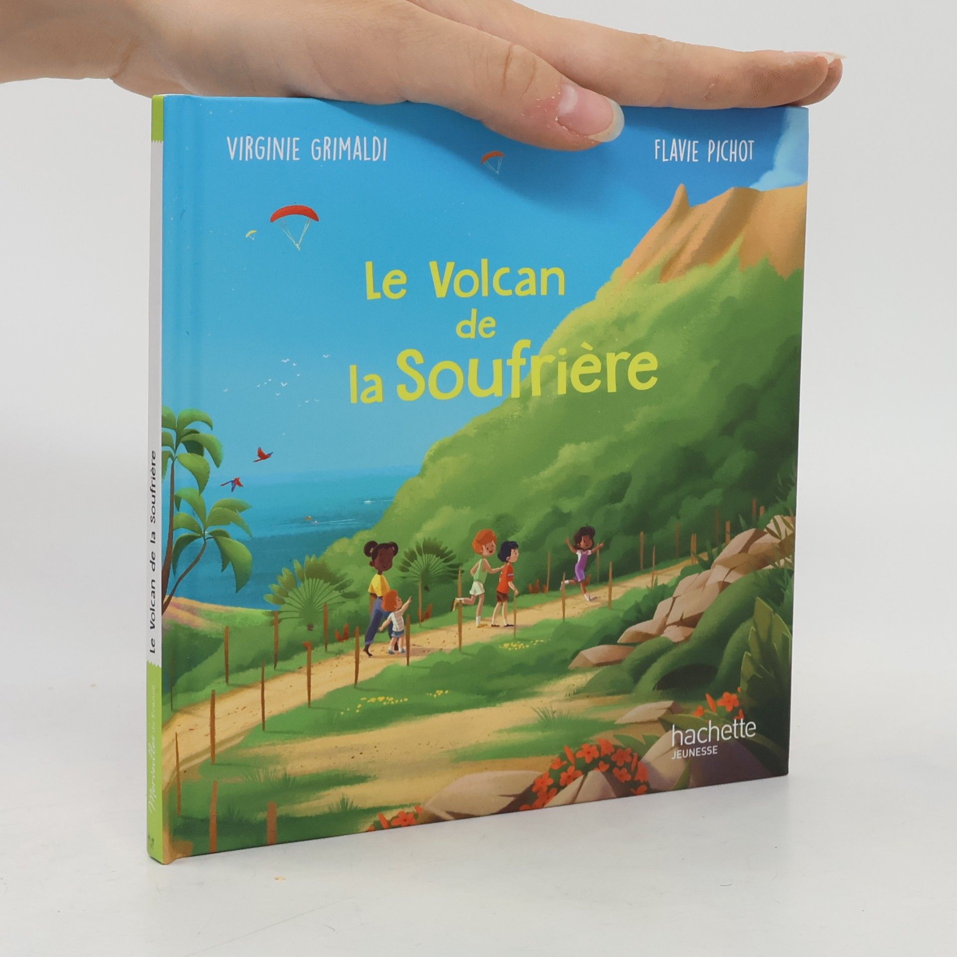 Le Volcan de la Soufrière