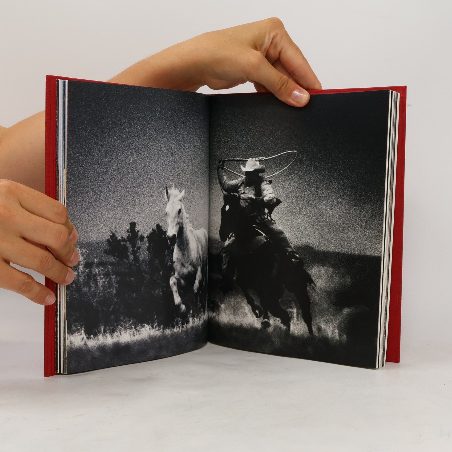 Dieter Blum Cowboys