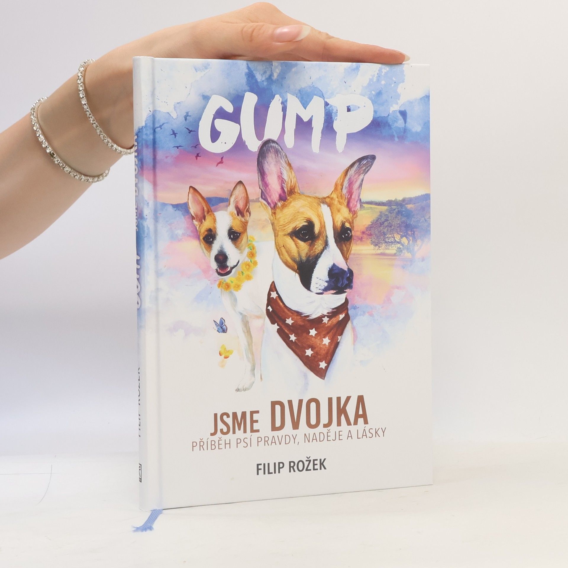 Filip Rožek Gump jsme dvojka: Příběh psí pravdy, naděje a lásky