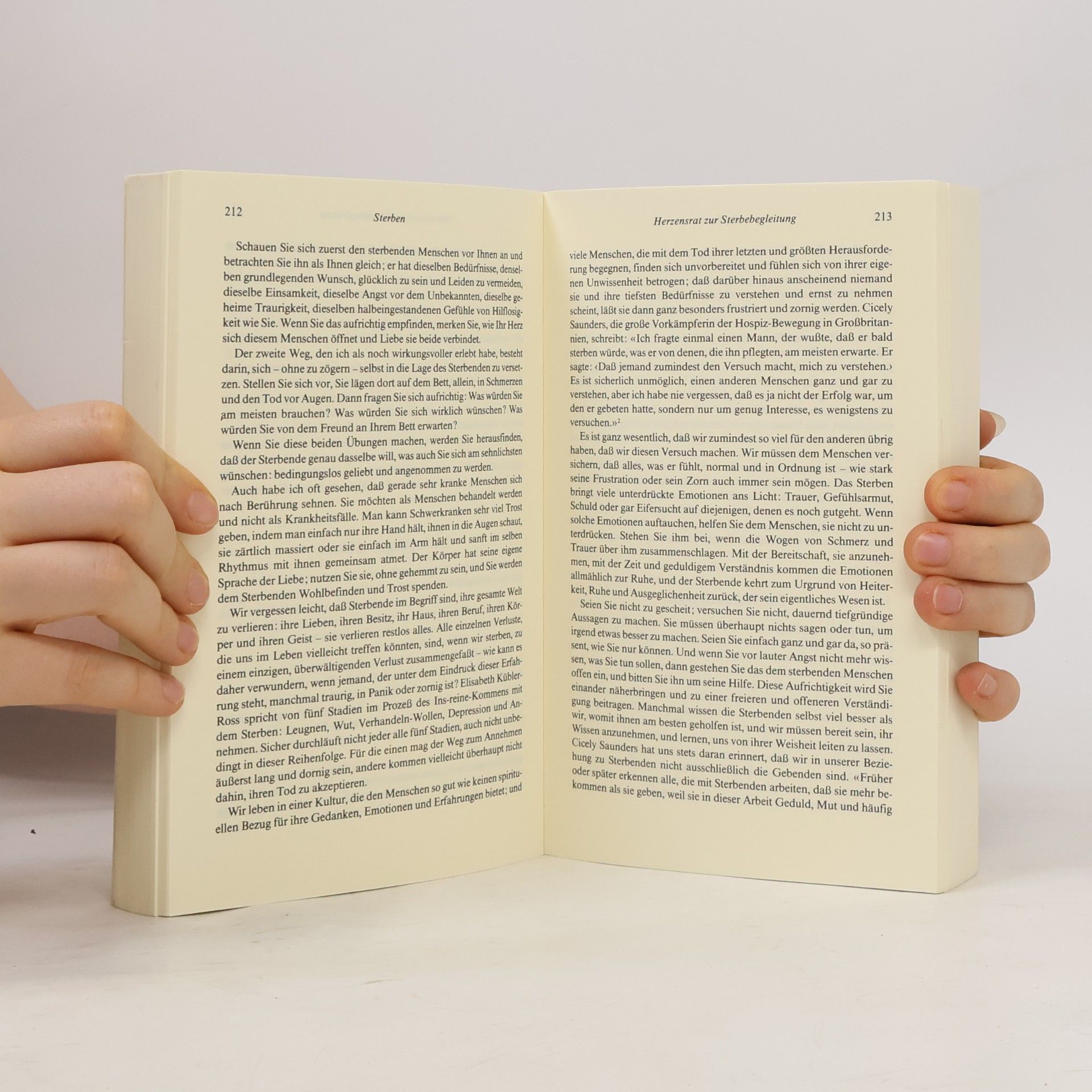 Sogyal Rinpoche Das tibetische Buch vom Leben und vom Sterben