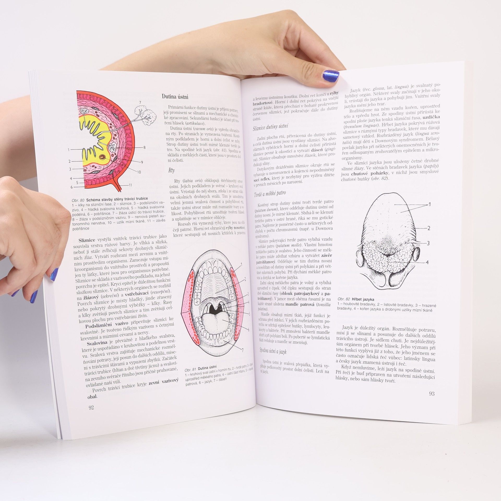 Jitka Machová Biologie člověka pro učitele