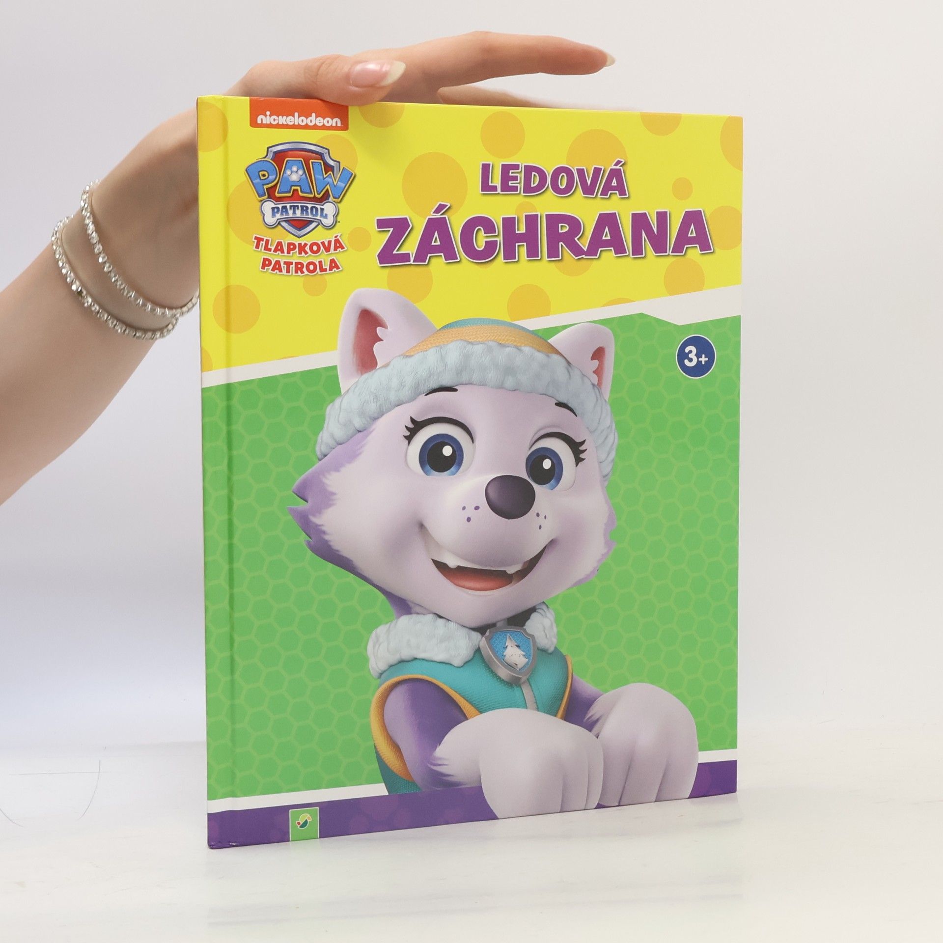 AA.VV. Tlapková patrola. Ľadová záchrana.