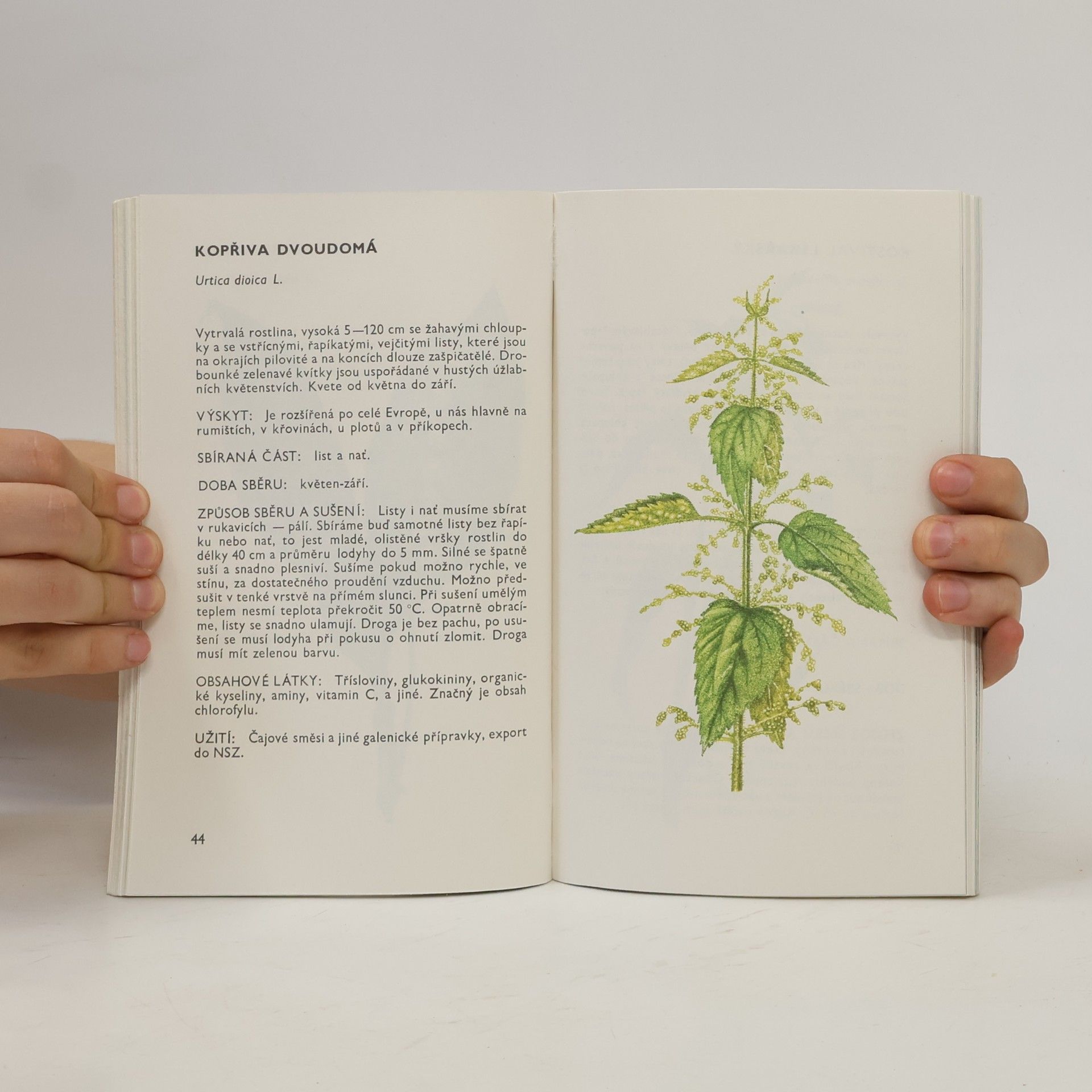 Ludmila Černá Malý herbář léčivých rostlin